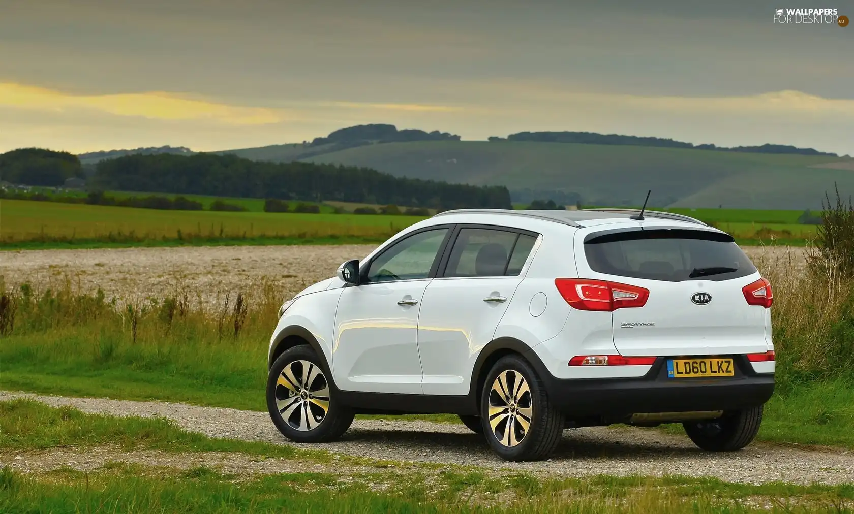 Kia Sportage, New, model