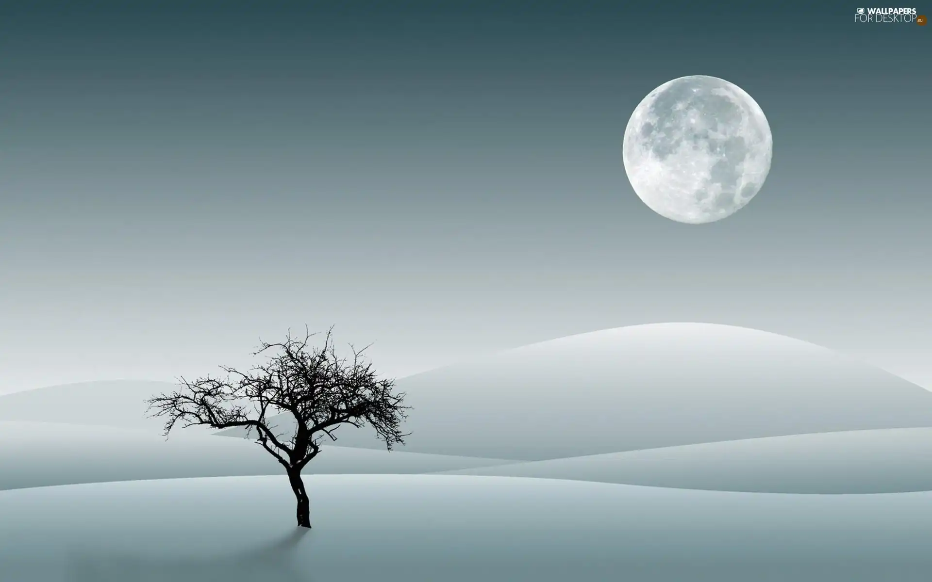 moon, graphics, trees, snow, winter