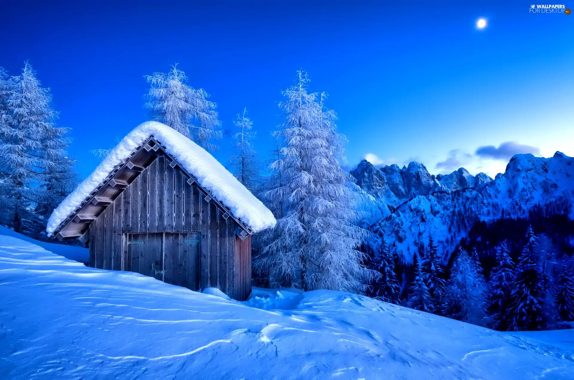 moon, winter, woods, cote, Mountains