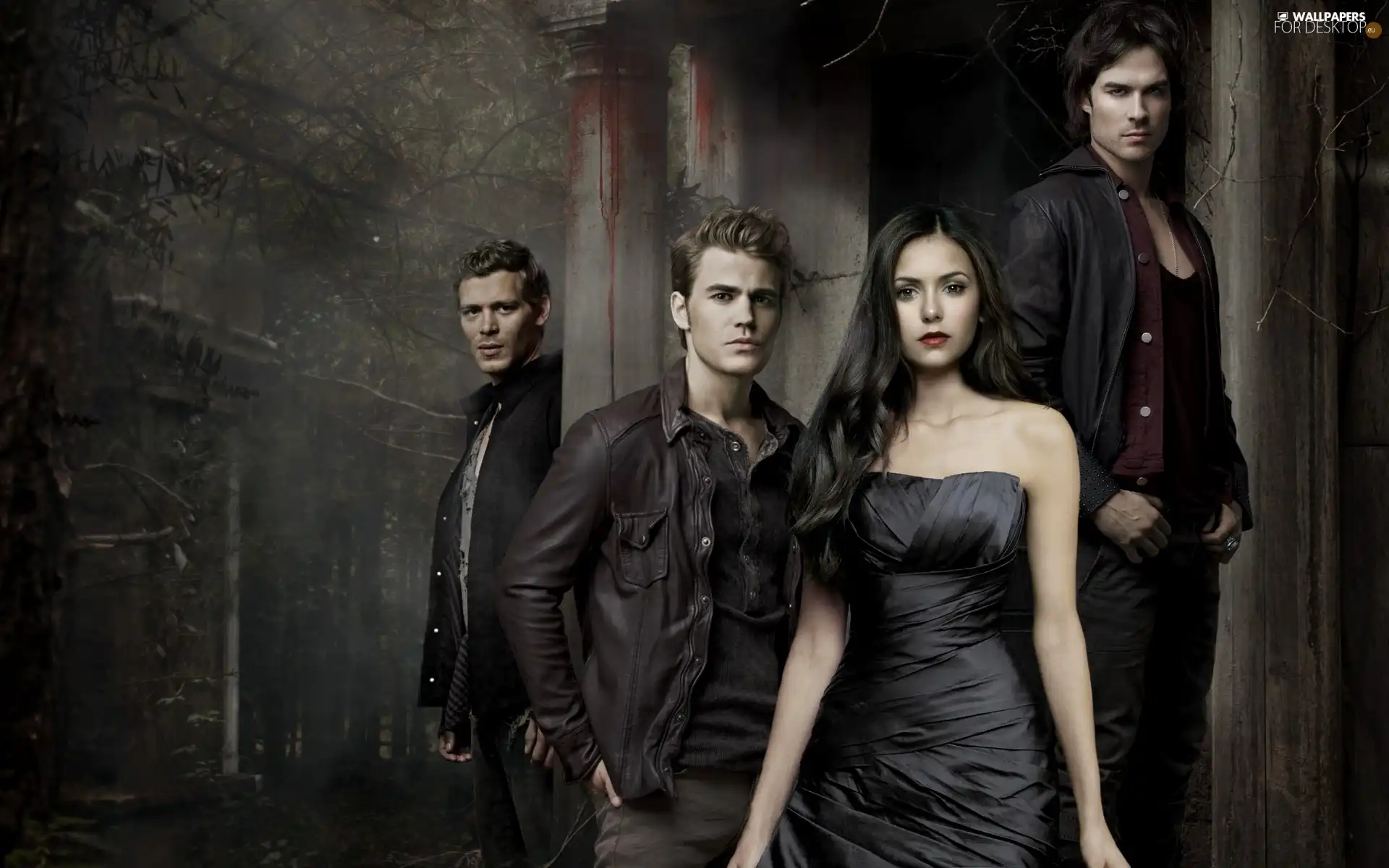 Joseph Morgan, The Vampire Diaries, Paul Wesley, ian somerhalder, Nina Dobrev, The Vampire Diaries