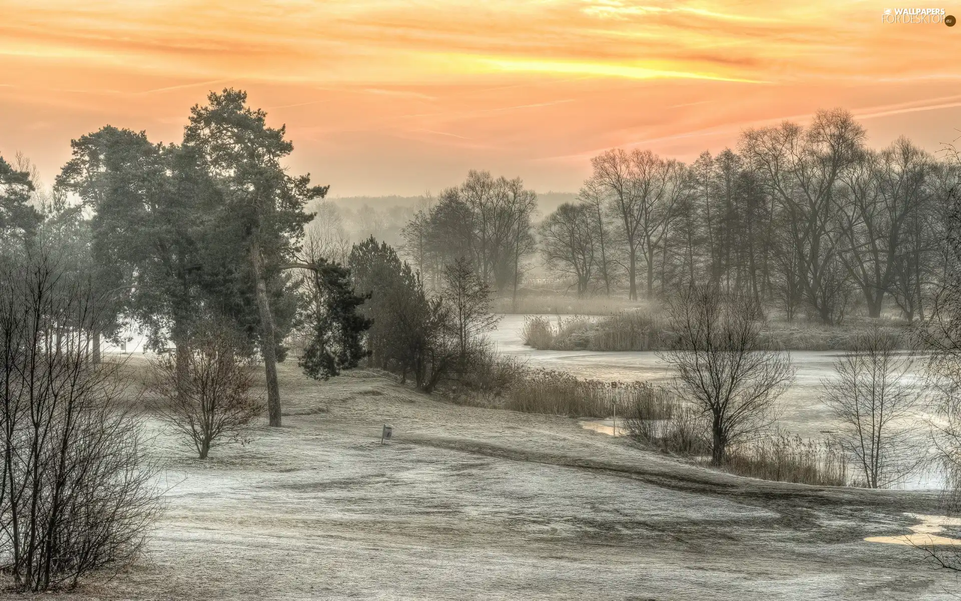 White frost, trees, River, viewes, winter, snow, morning