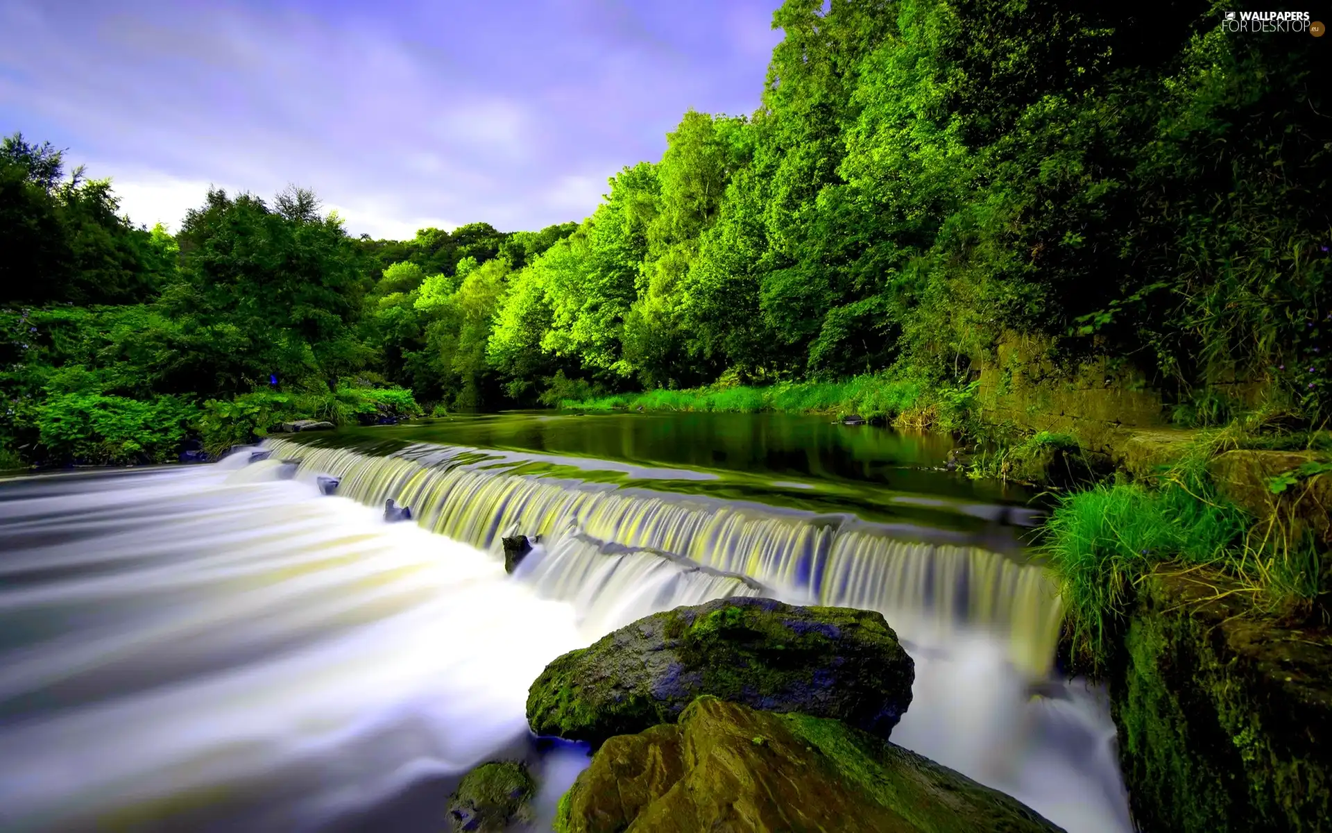 forest, rocks, Moss, waterfall