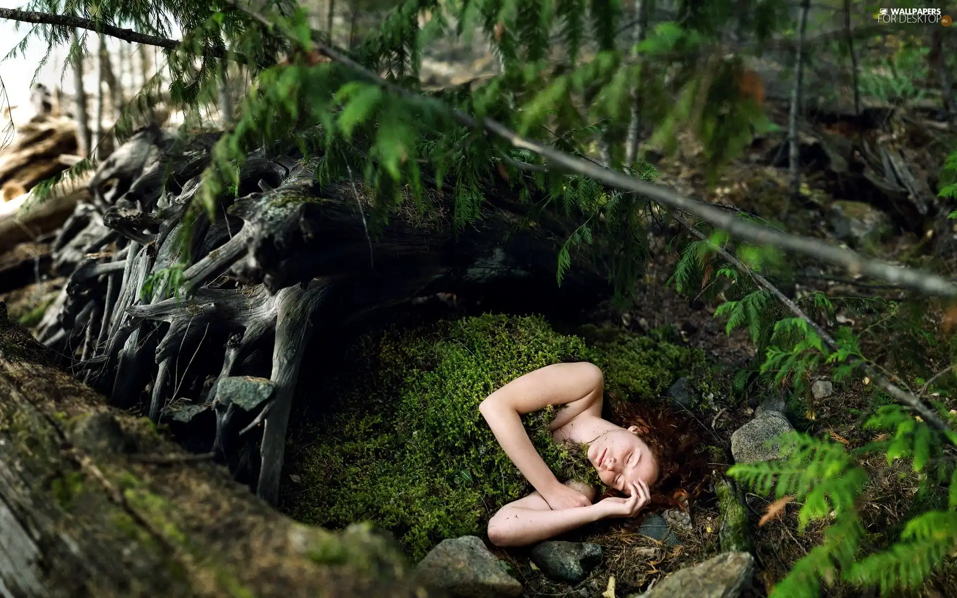 ##, moss, Women, the sleeping, forest