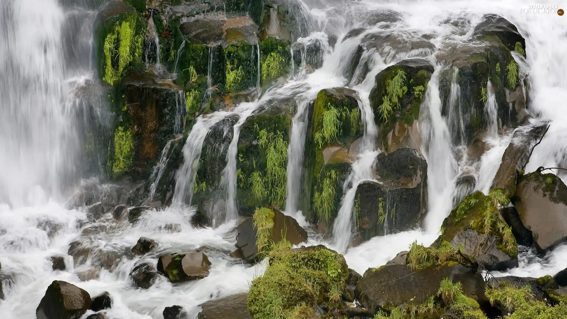 Moss, waterfall, Stones