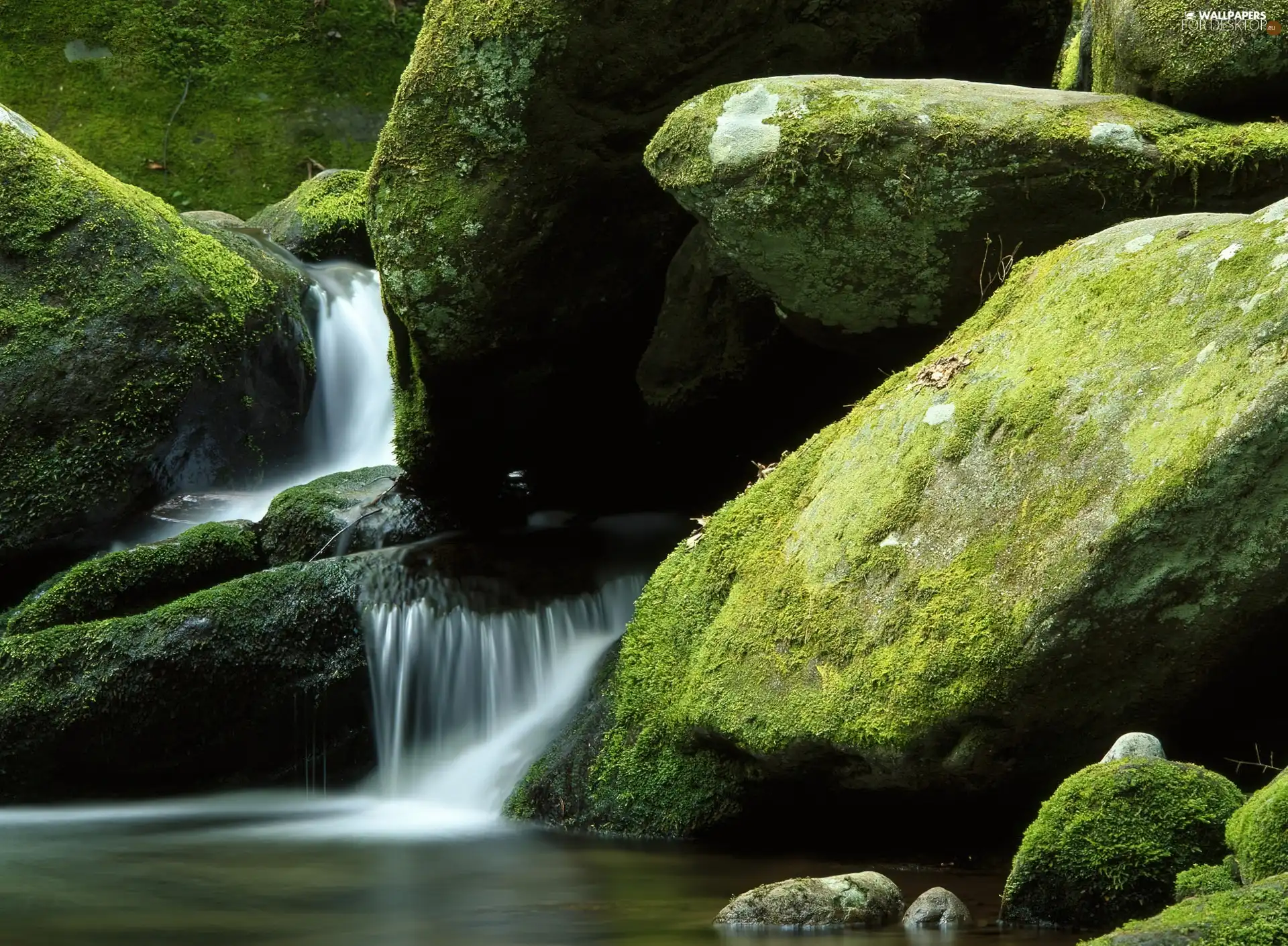 Moss, Stones, stream