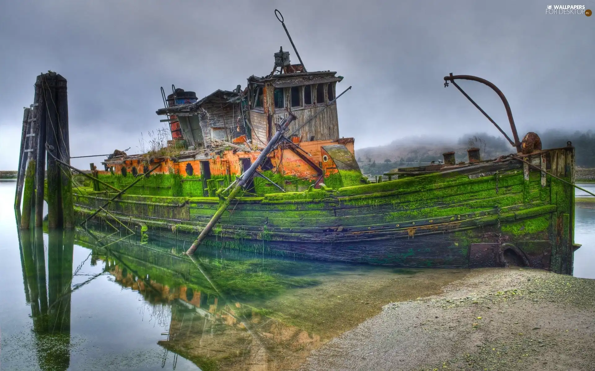 Moss, Ship, wreck