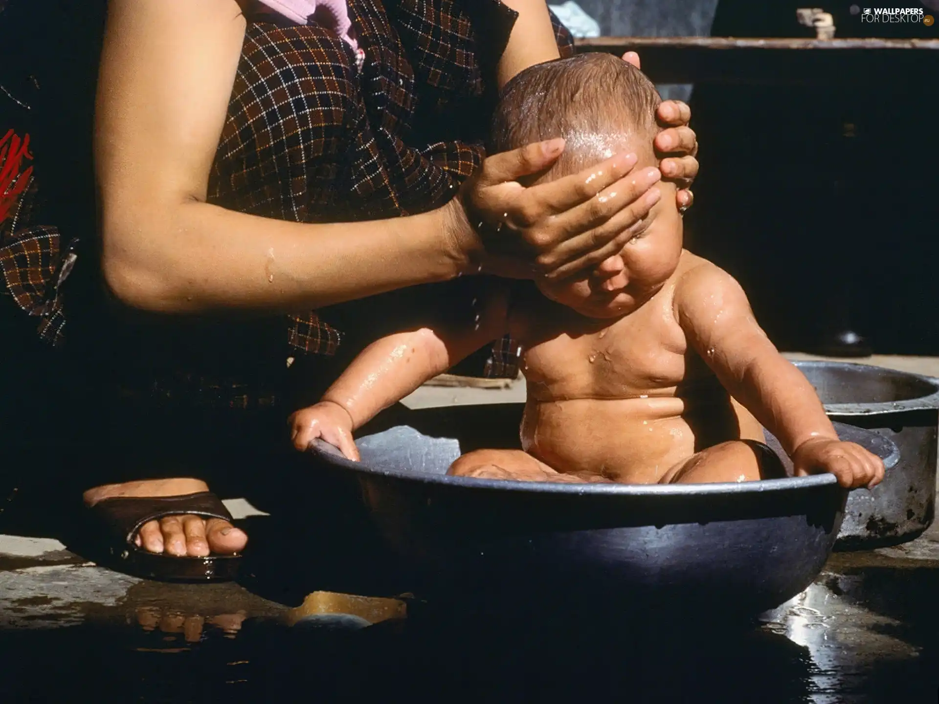 mother, washing, little doggies, Kid, bowl