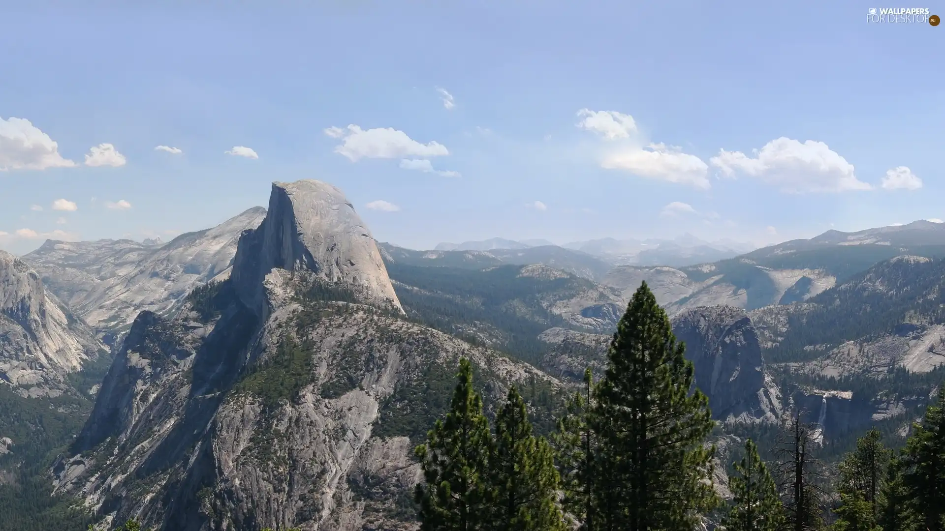 forest, Mountains, mount, coniferous