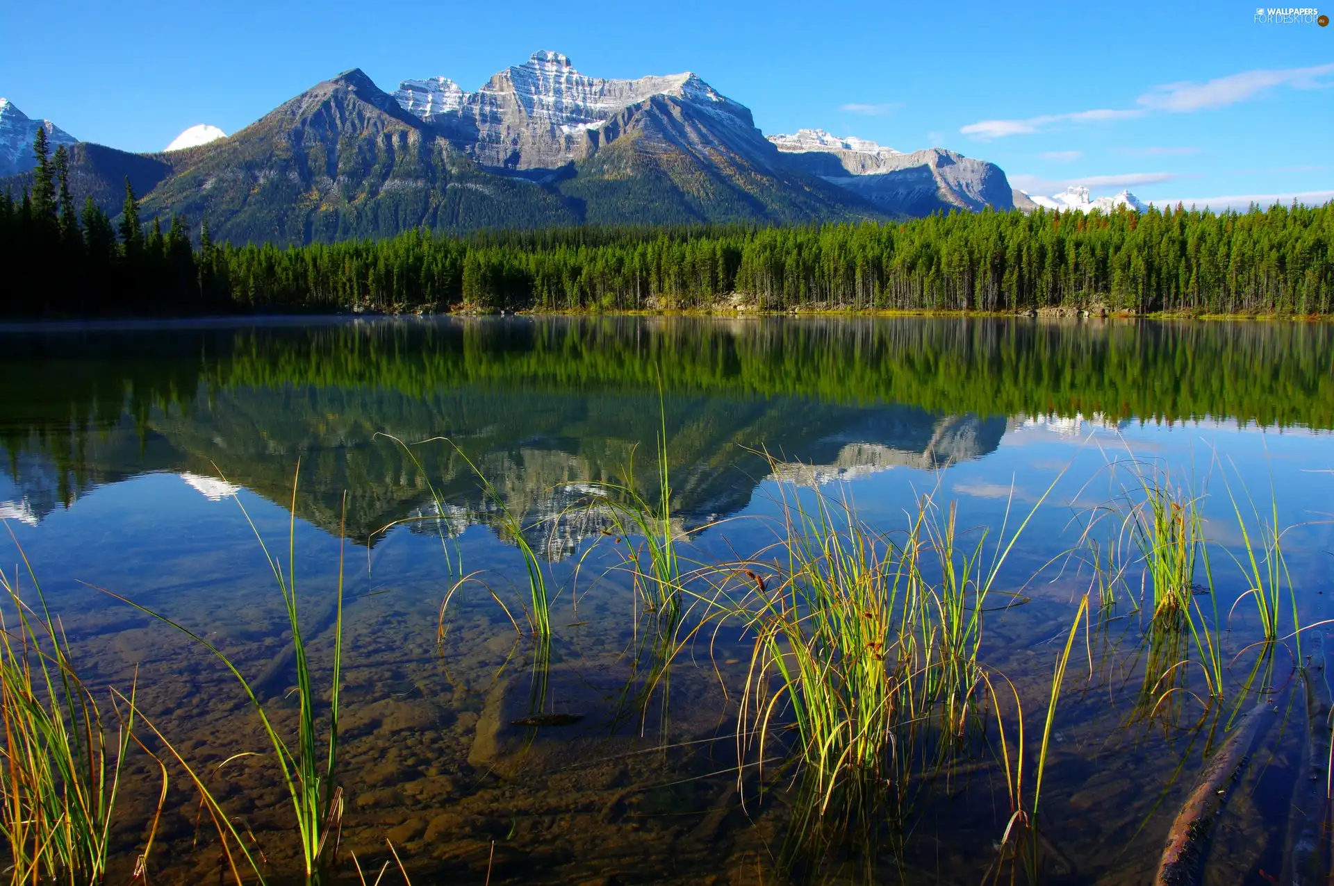 beatyfull, woods, Mountains, lake