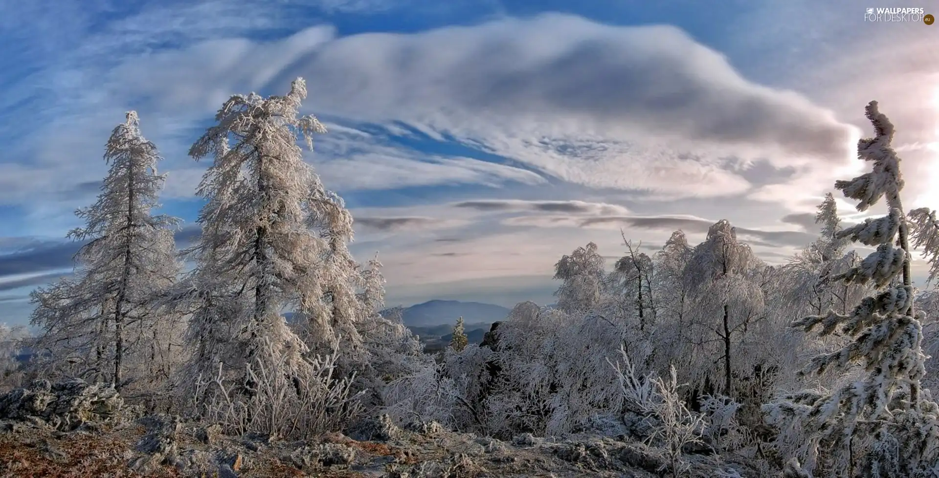 Mountains, clouds, trees, viewes, winter