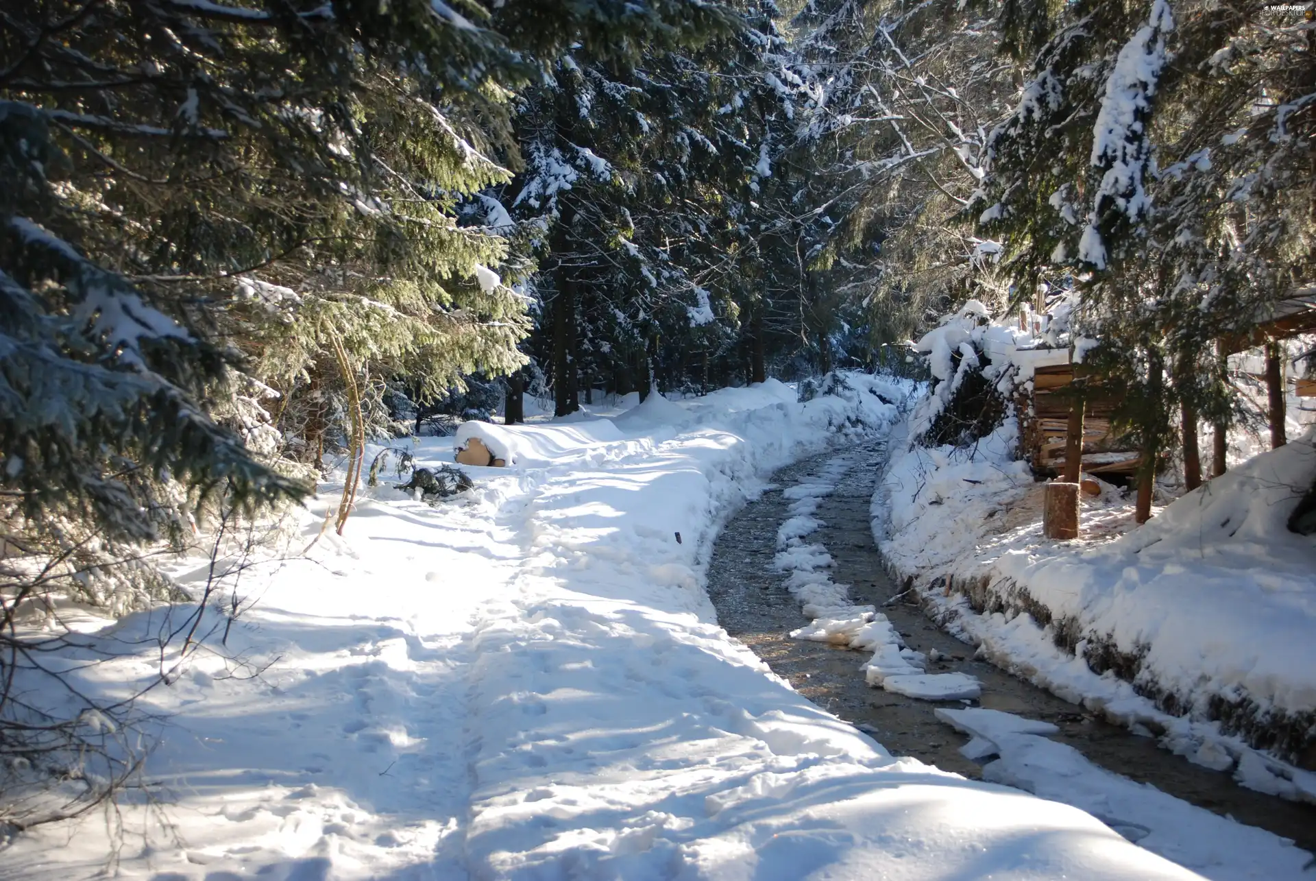 forest, winter, Mountains, stream