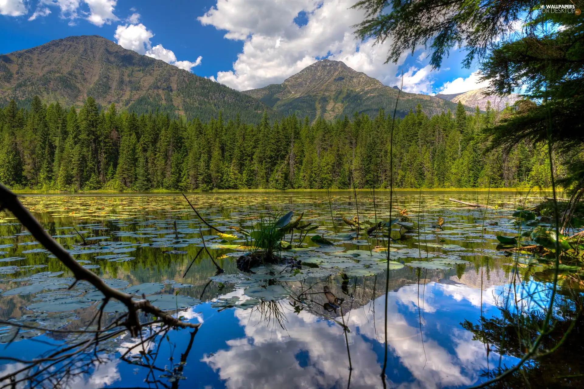 lake, Mountains