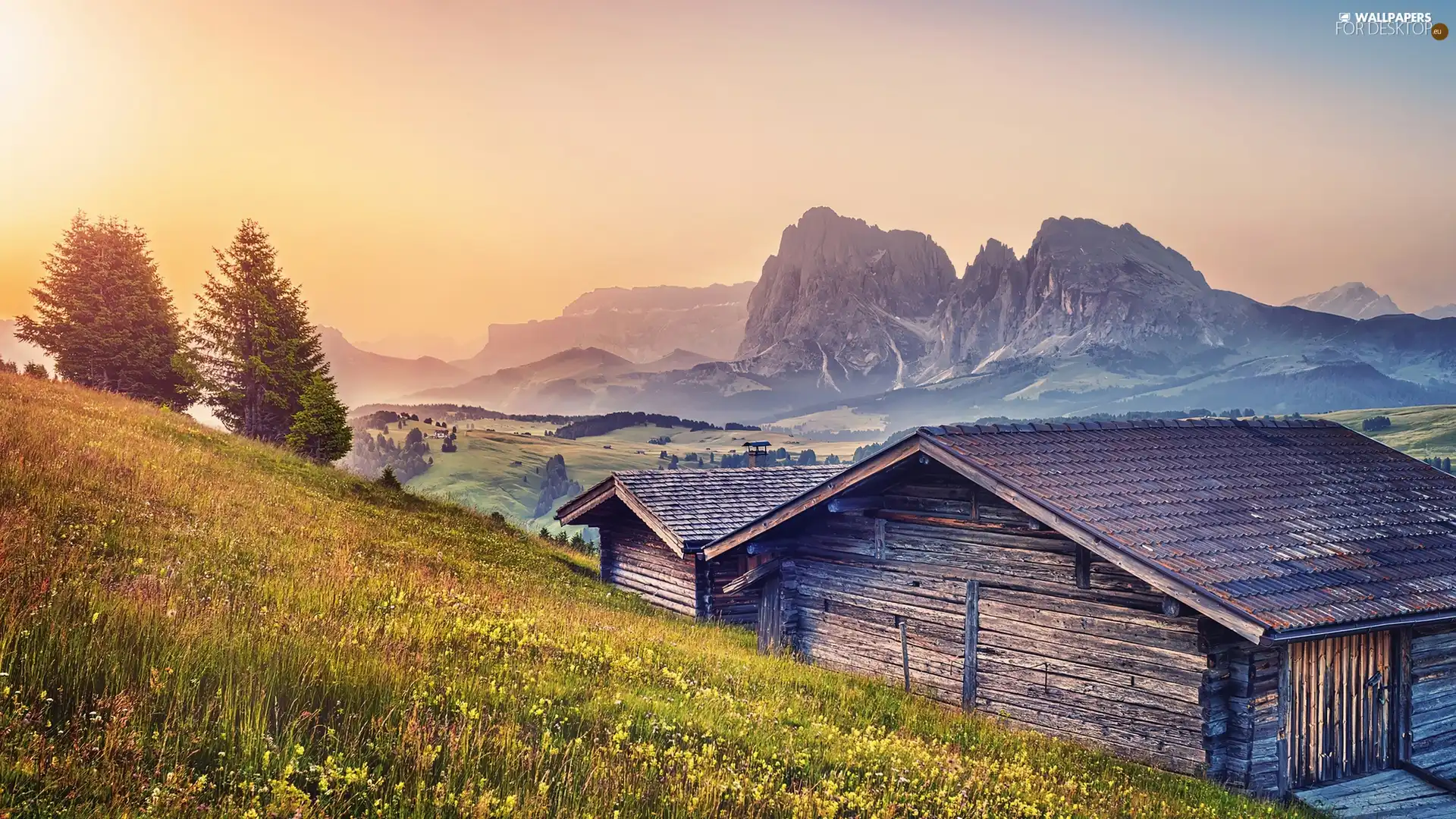 Meadow, huts, Mountains, wood