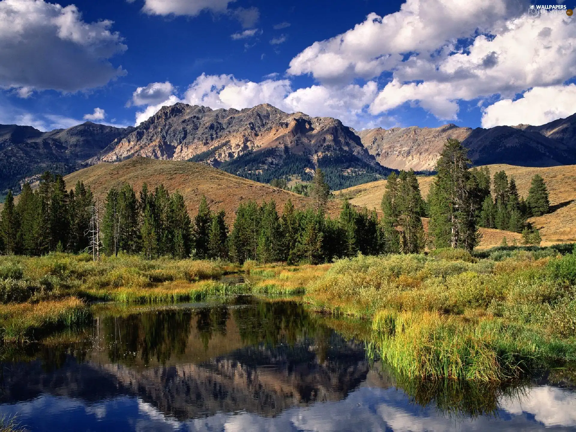 pool, viewes, Mountains, trees