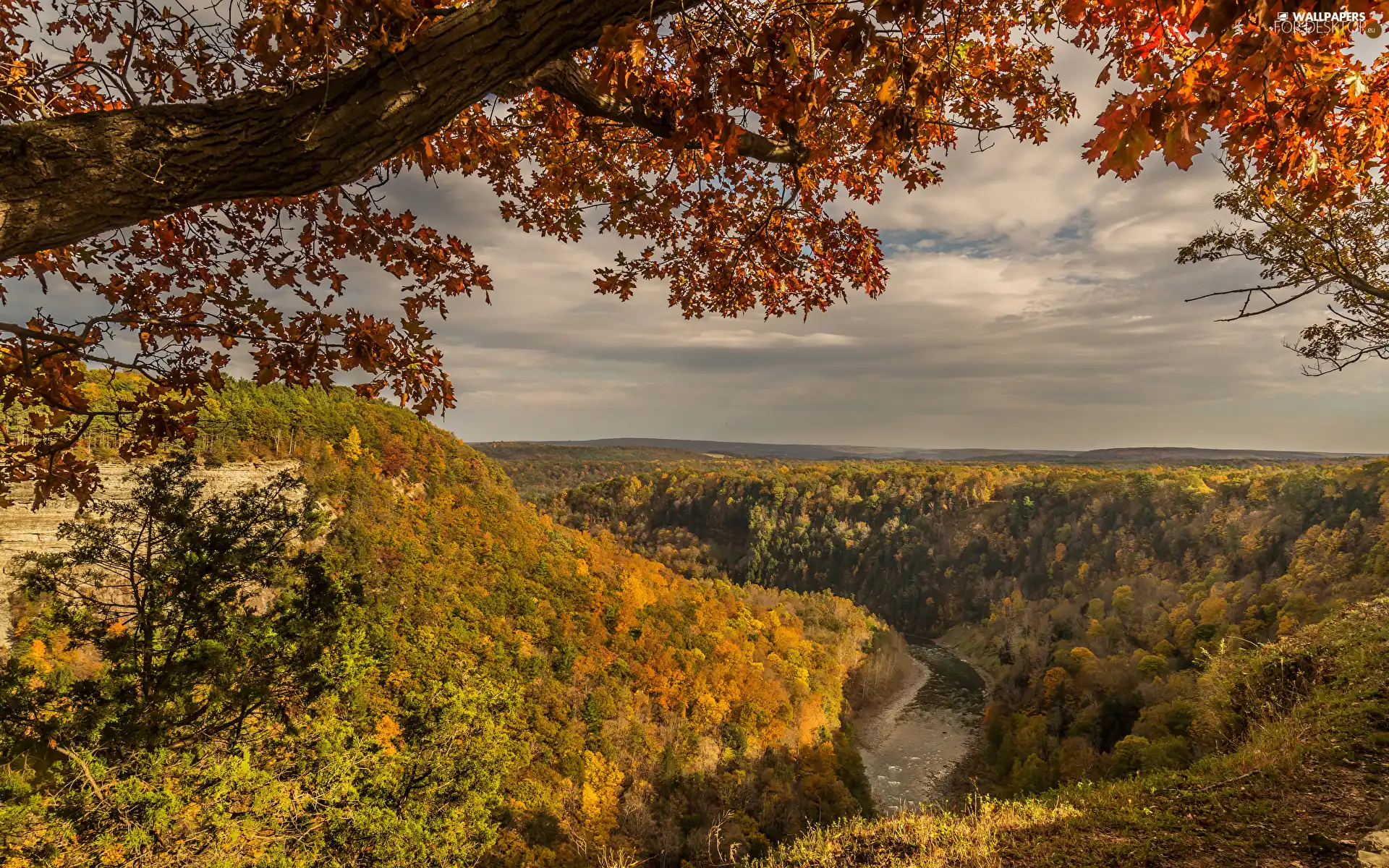 Mountains, woods, clouds, trees, branch pics, River, autumn, viewes
