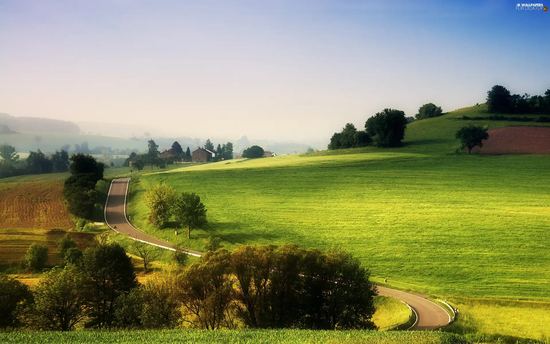 Way, field, Mountains, medows