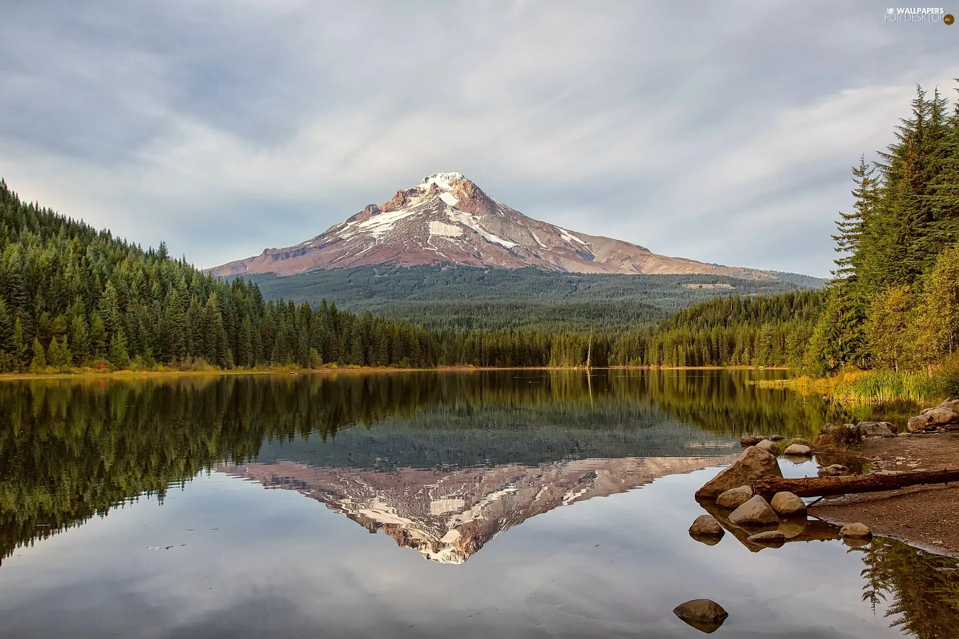 Mountains, lake, woods