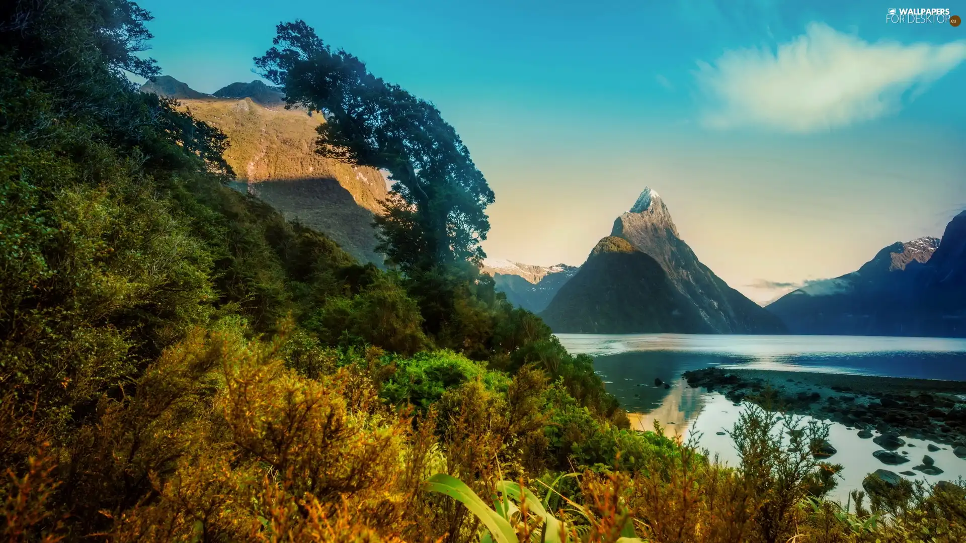 New Zeland, Bush, mountains