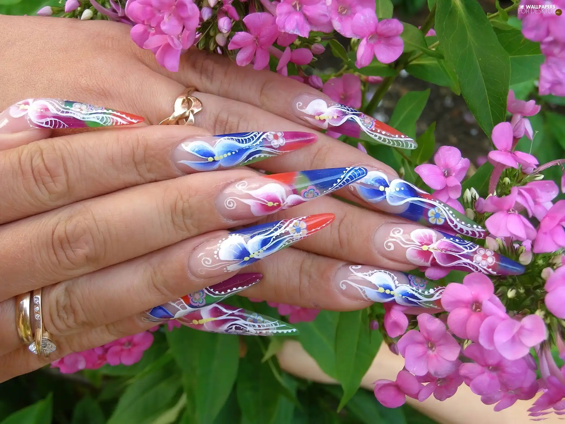 color, woman, Nails, Flowers, Longs, hands
