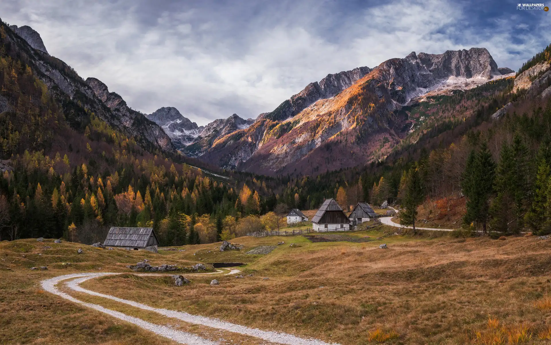 Julian Alps Mountains, Way, Slovenia, trees, Houses, Triglav National Park, Zadnja Trenta Valley, viewes