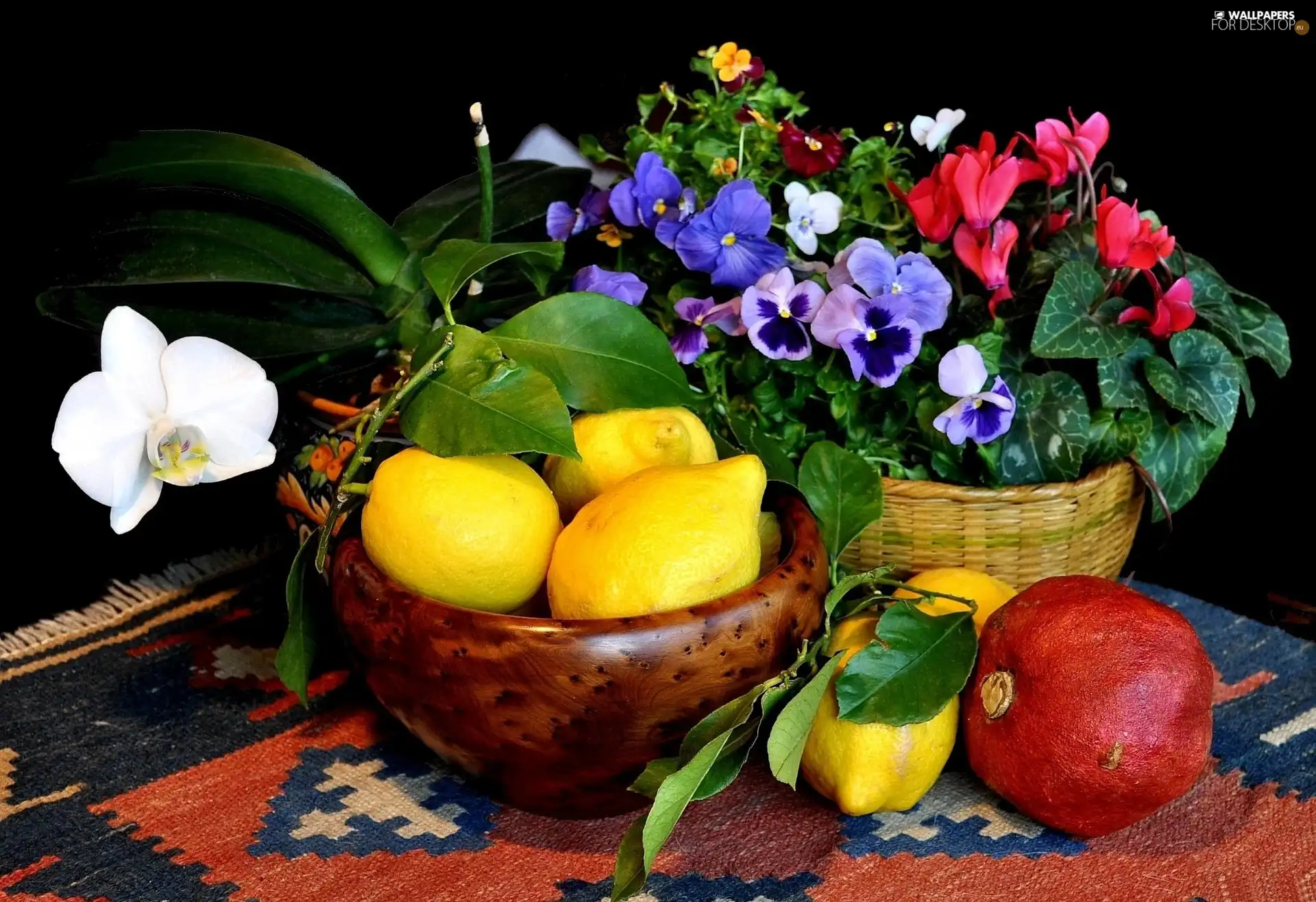 lemons, pot, Fruits, composition, navy blue, Flowers