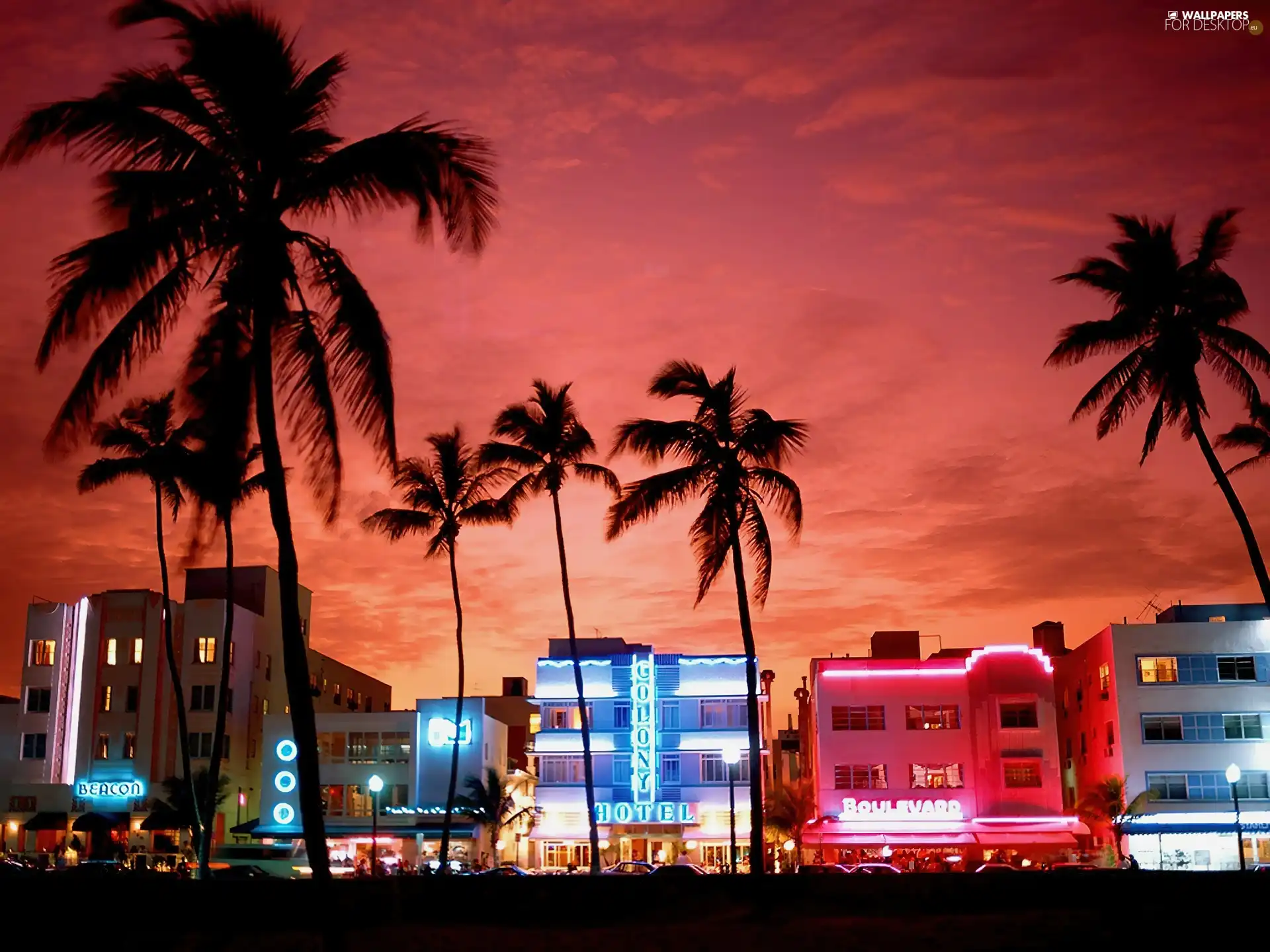 Floryda, Hotels, neon, Miami