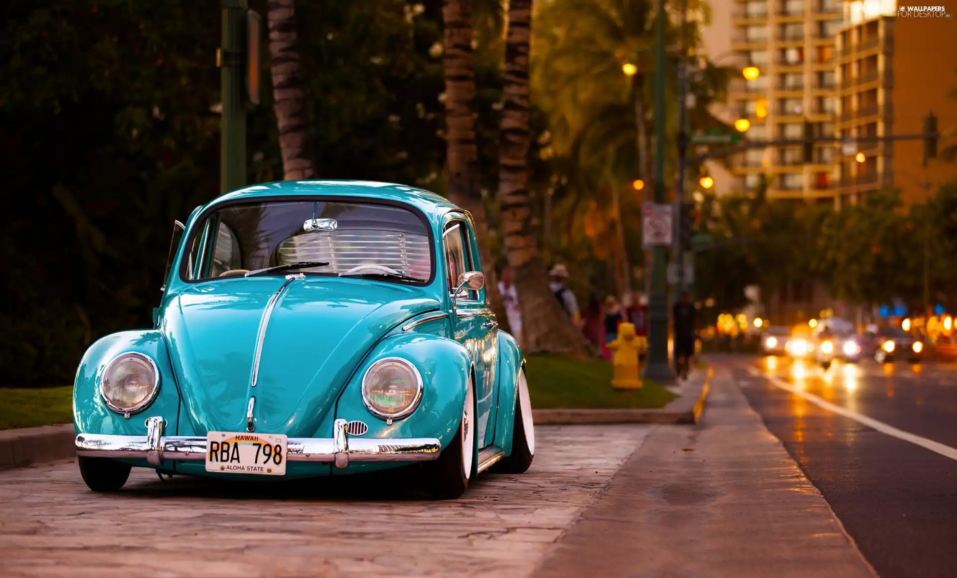 New Beetles
