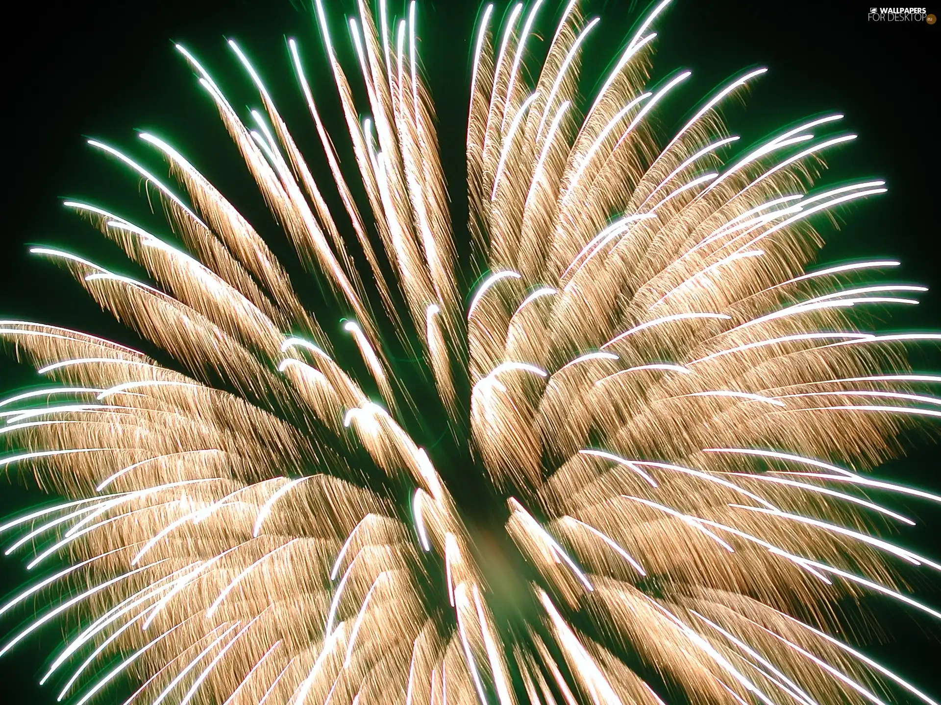 New Year