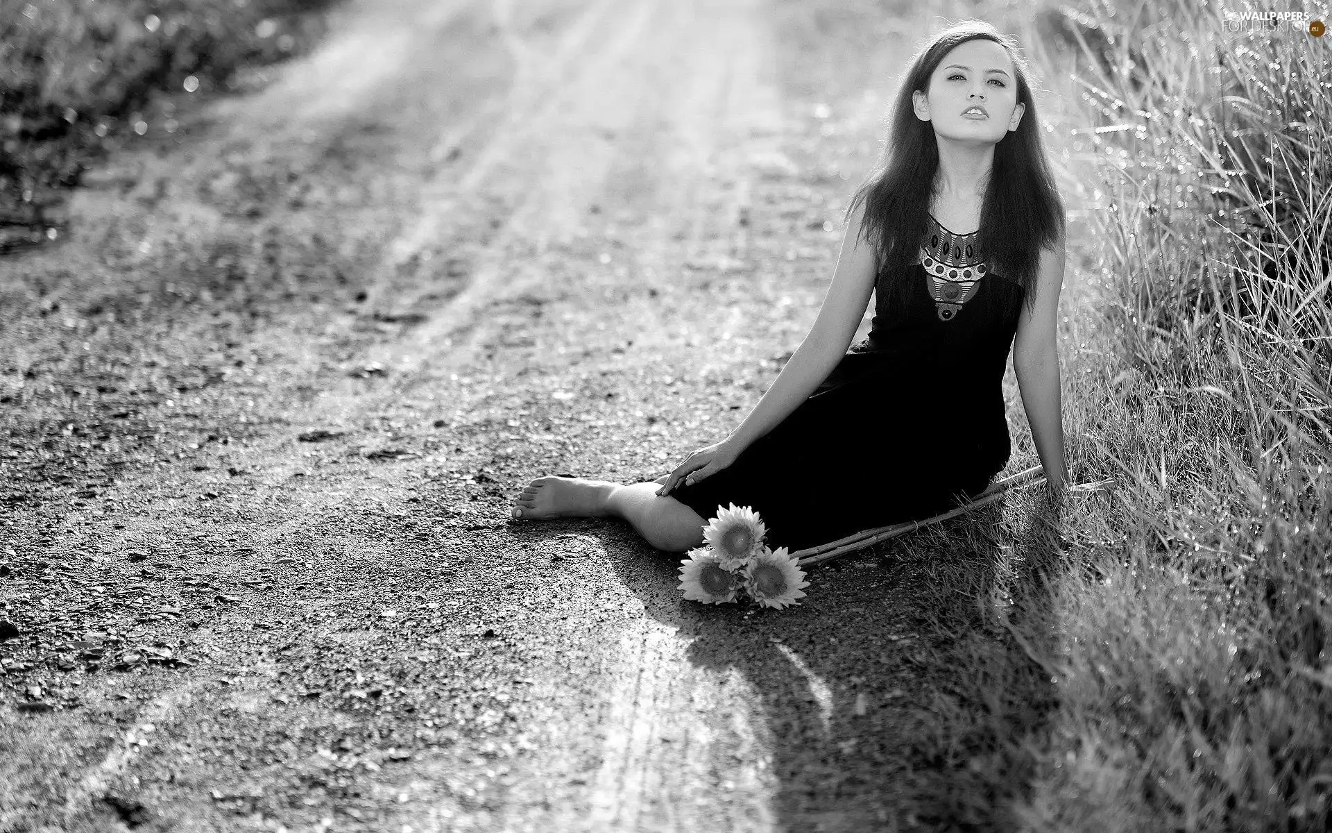 On The Road, girl, Nice sunflowers