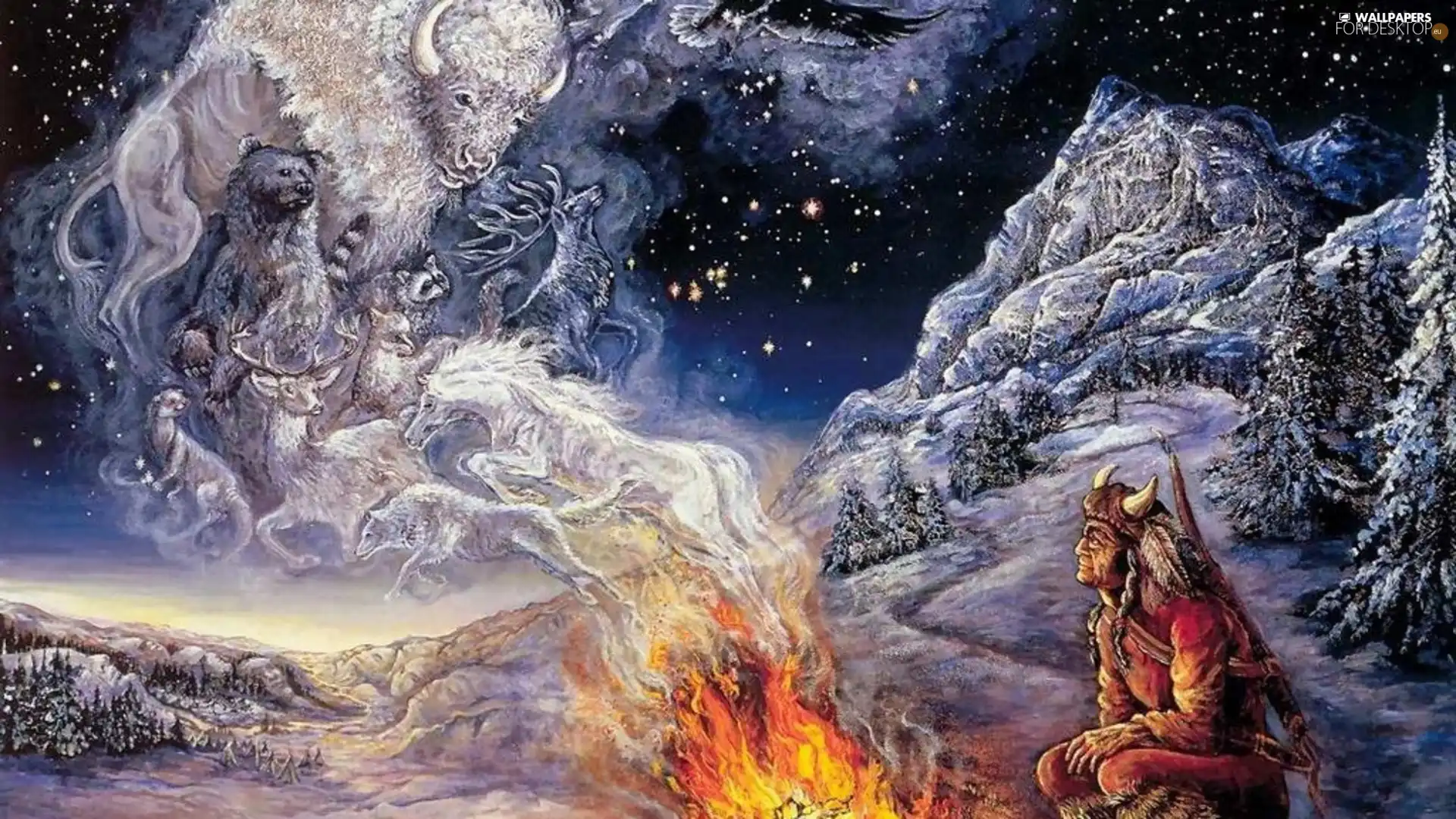 Indian, animals, Night, Big Fire