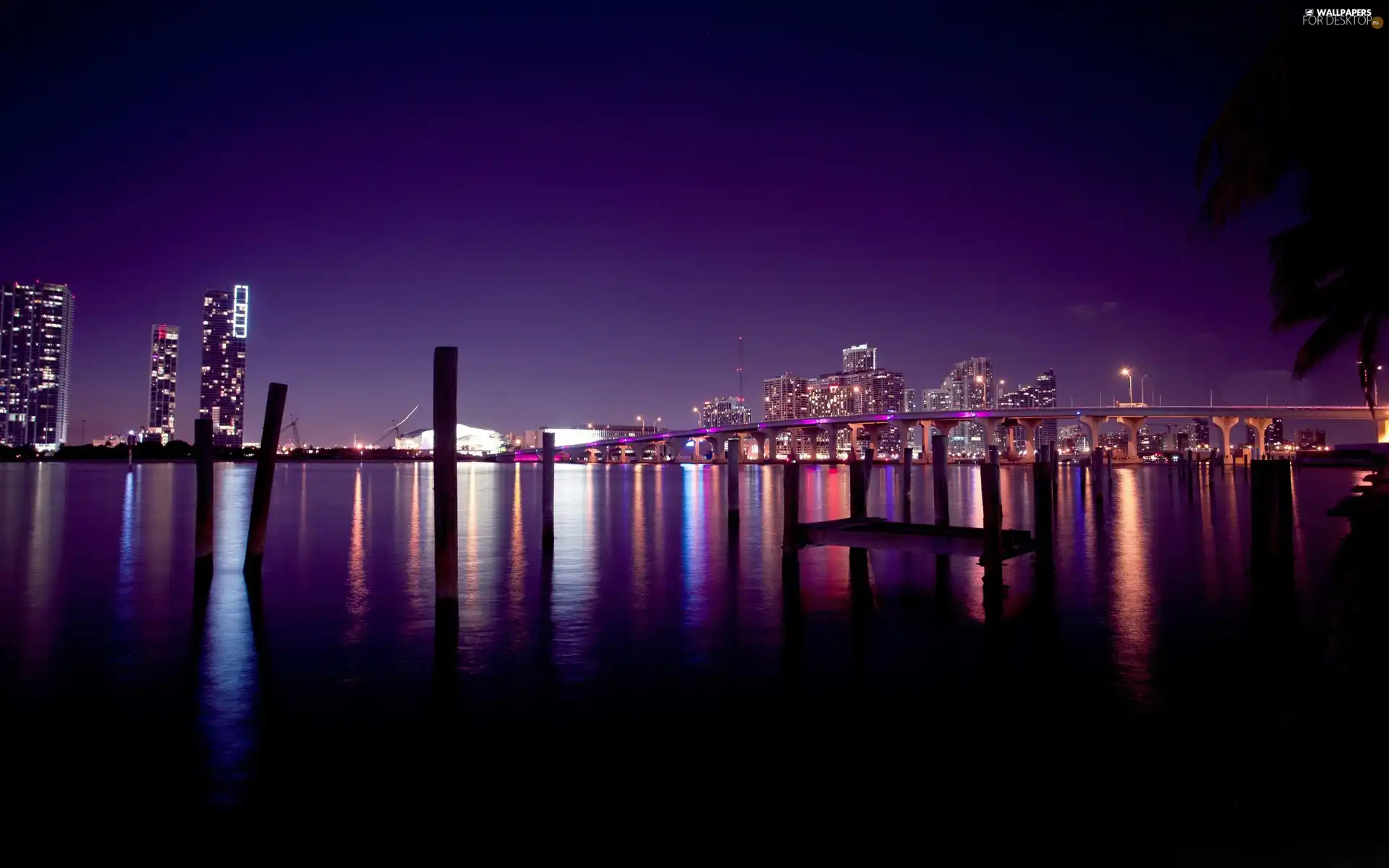 The United States, Town, Night, Miami