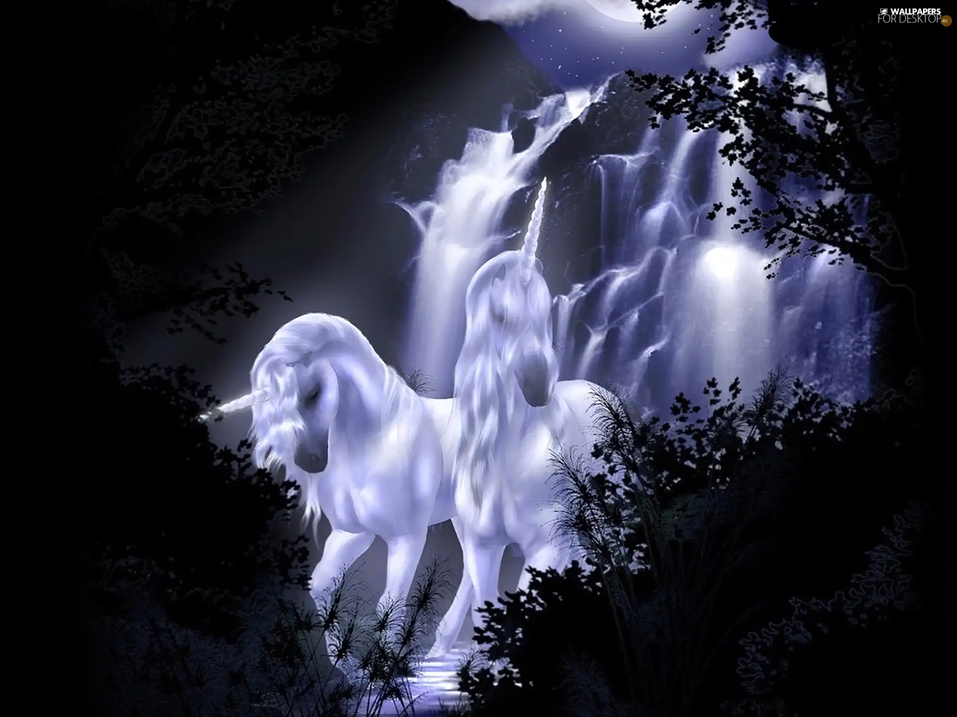 Night, unicorns, waterfall