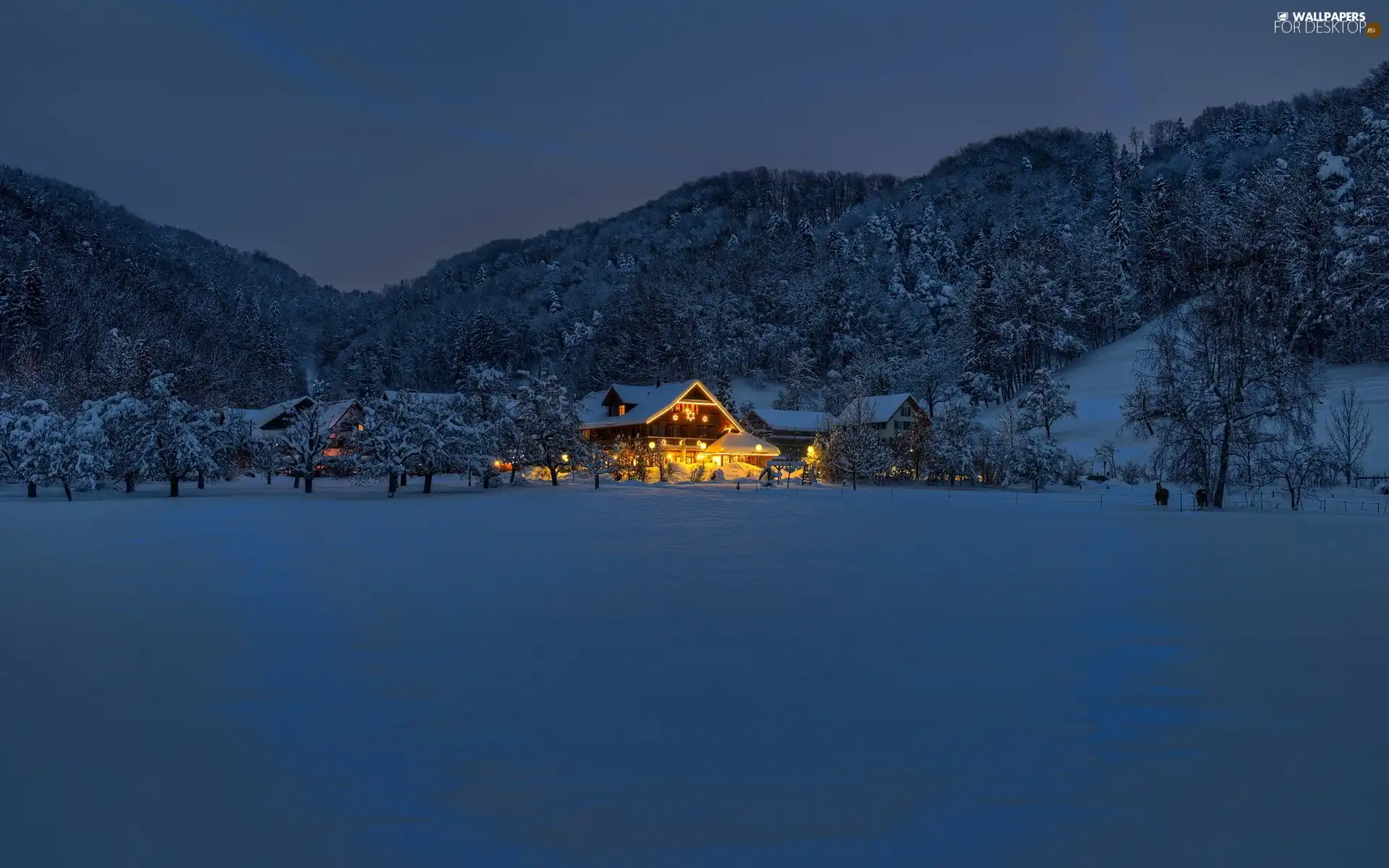 Floodlit, Mountains, Night, winter, house, woods