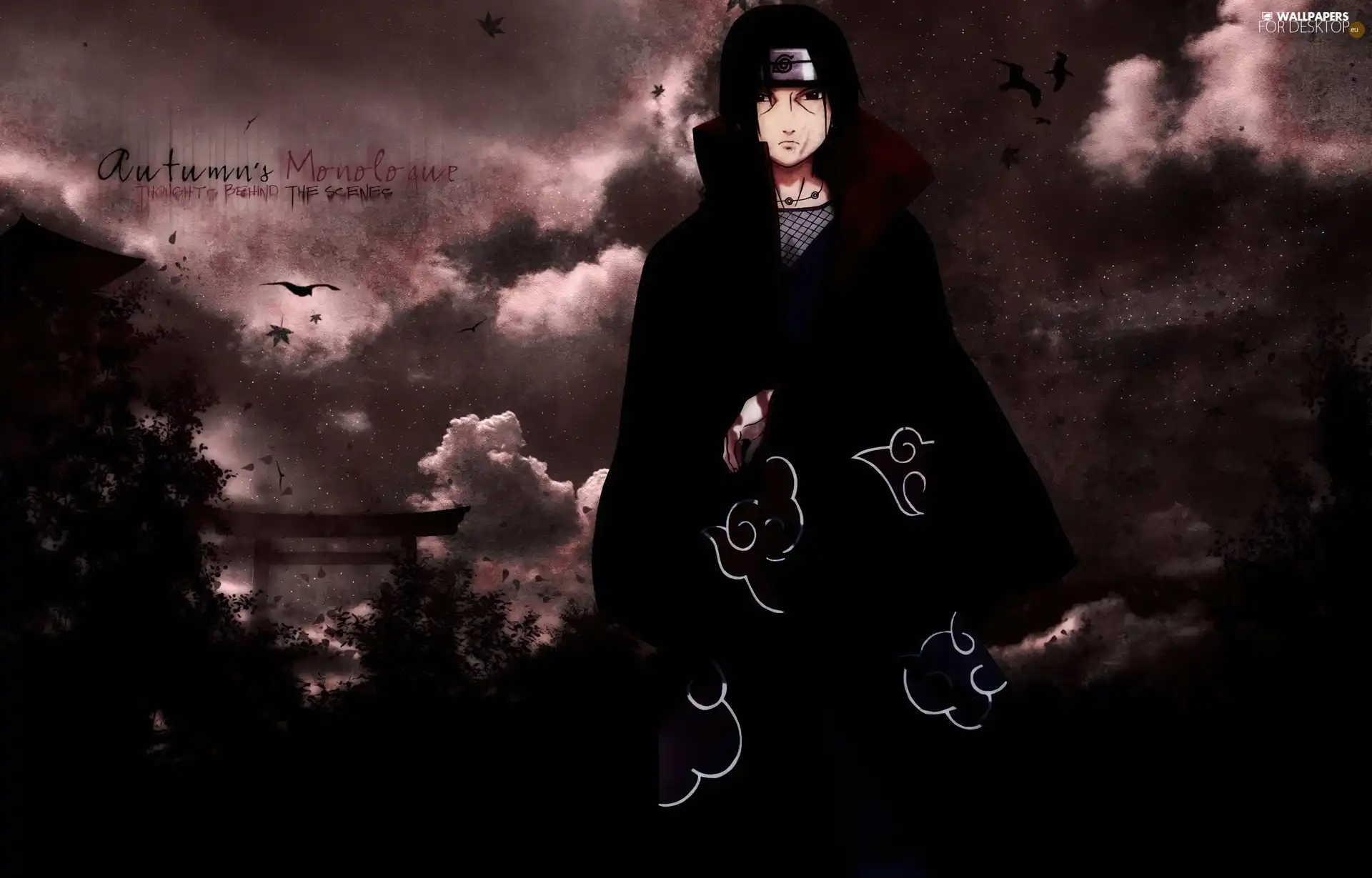 ninja, Naruto, Uzumaki