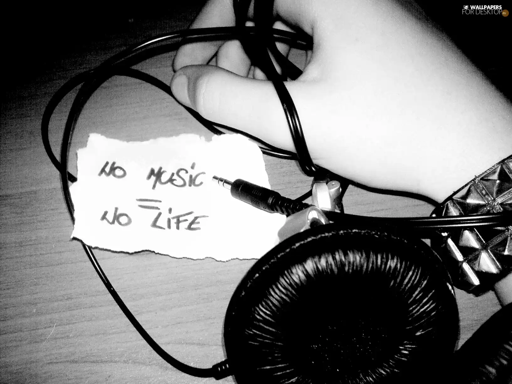 No Music, No Life