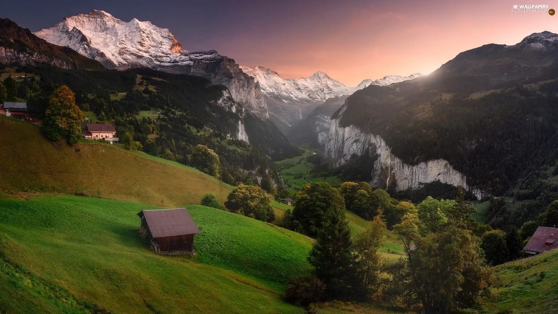 trees, Mountains, woods, viewes, Sunrise, Switzerland, Canton of Bern, Lauterbrunnental Valley, Bernese Alps, Wengen, Houses