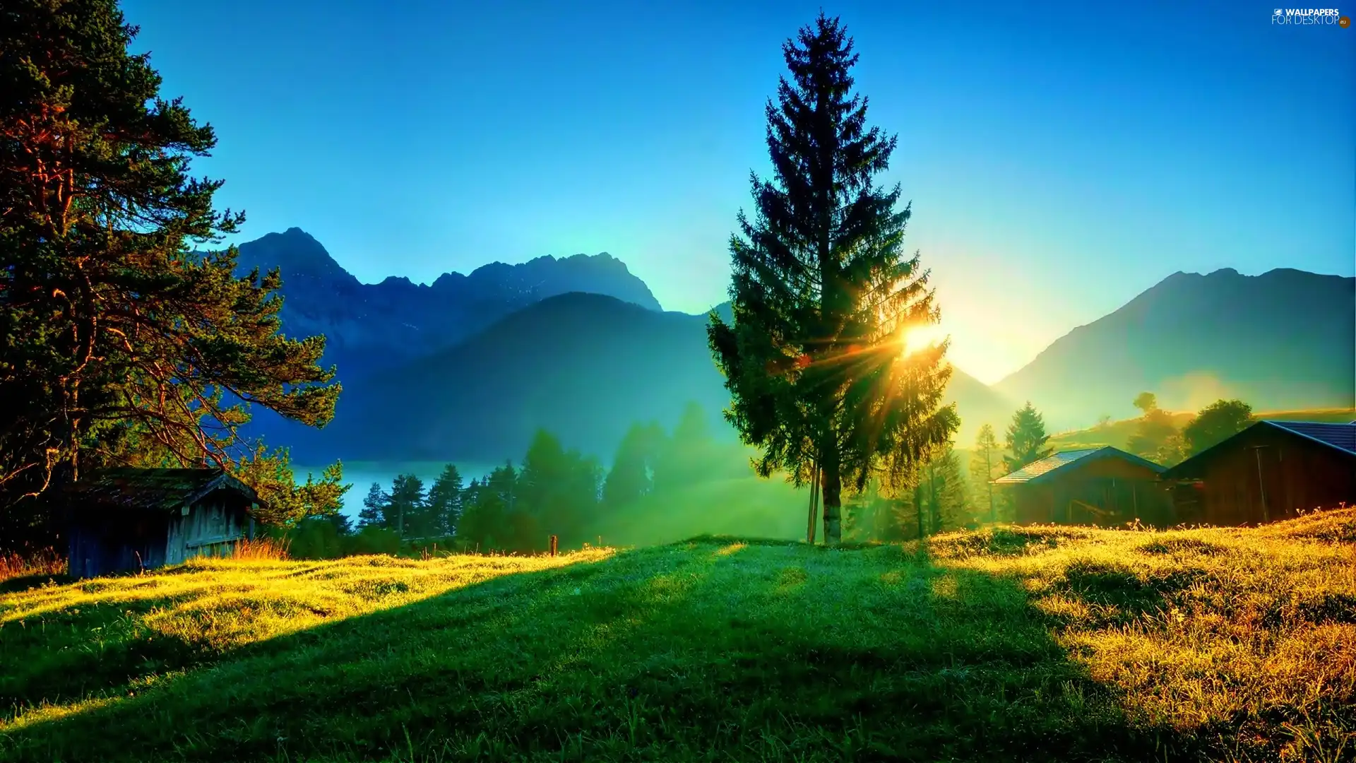 rays of the Sun, trees, Meadow, Fog, Mountains