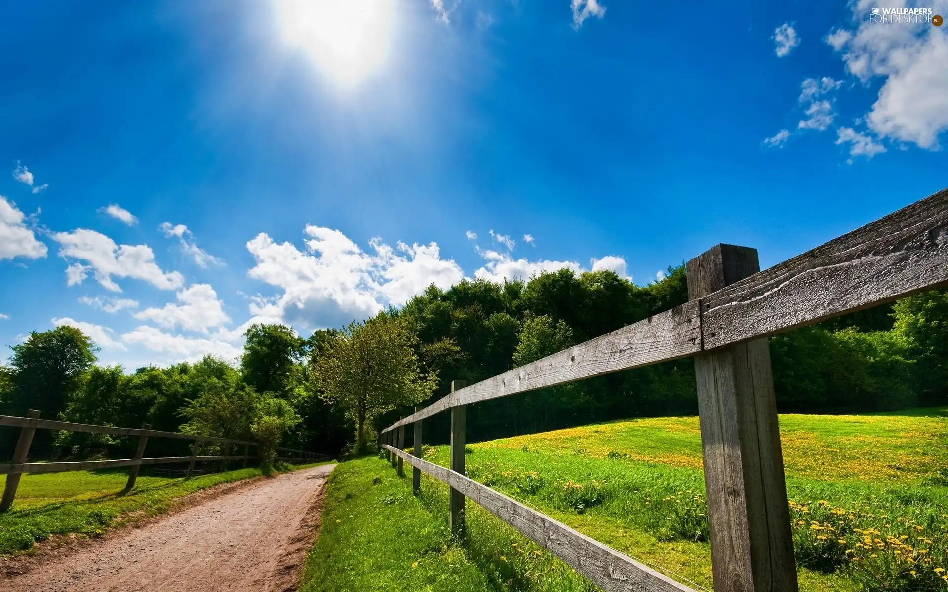 Way, fence, rays of the Sun, Meadow