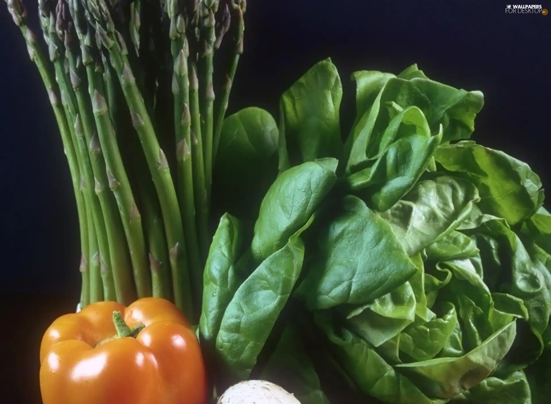 Orange, pepper, salads, asparagus, Leaf