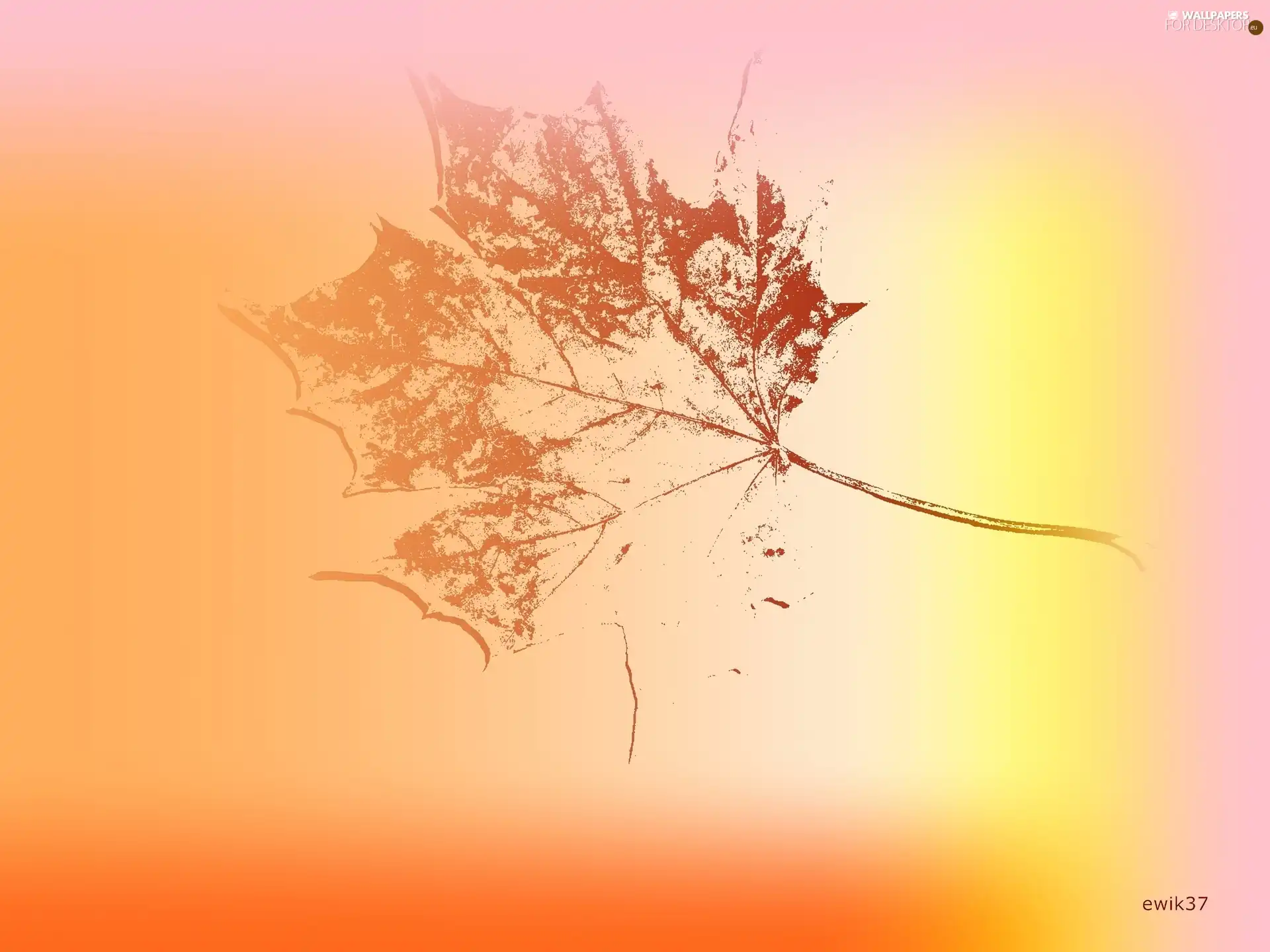 outline, leaf, maple