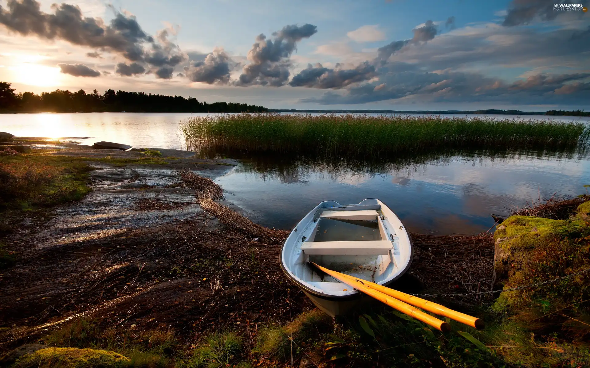 paddle, lake, Boat