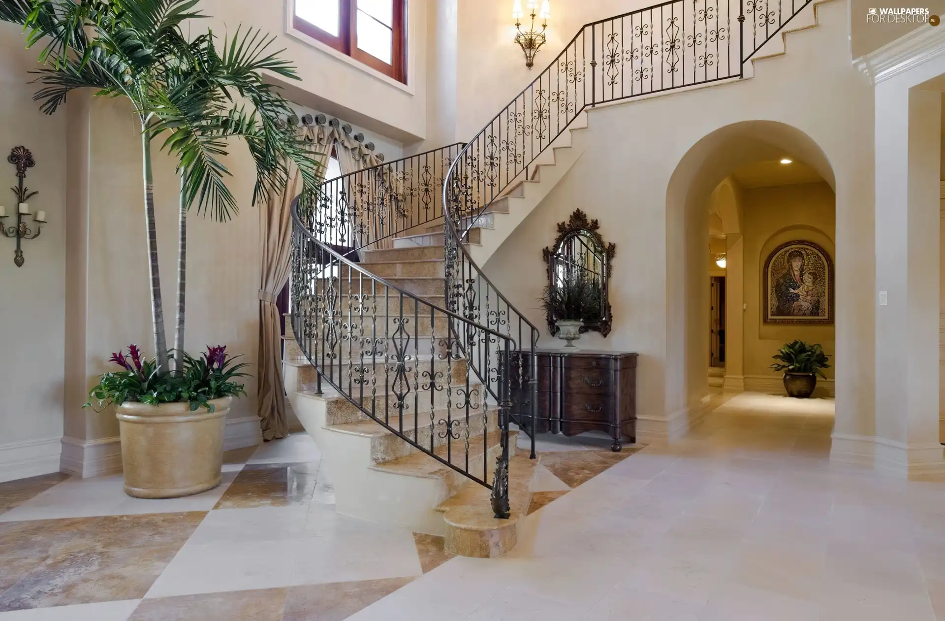 interior, Stairs, Palm, house