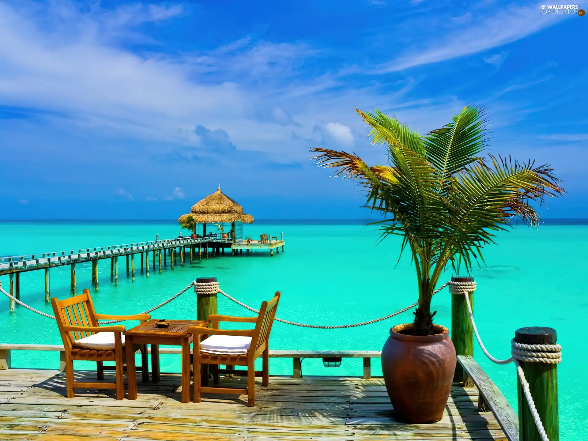 Palm, sea, pier