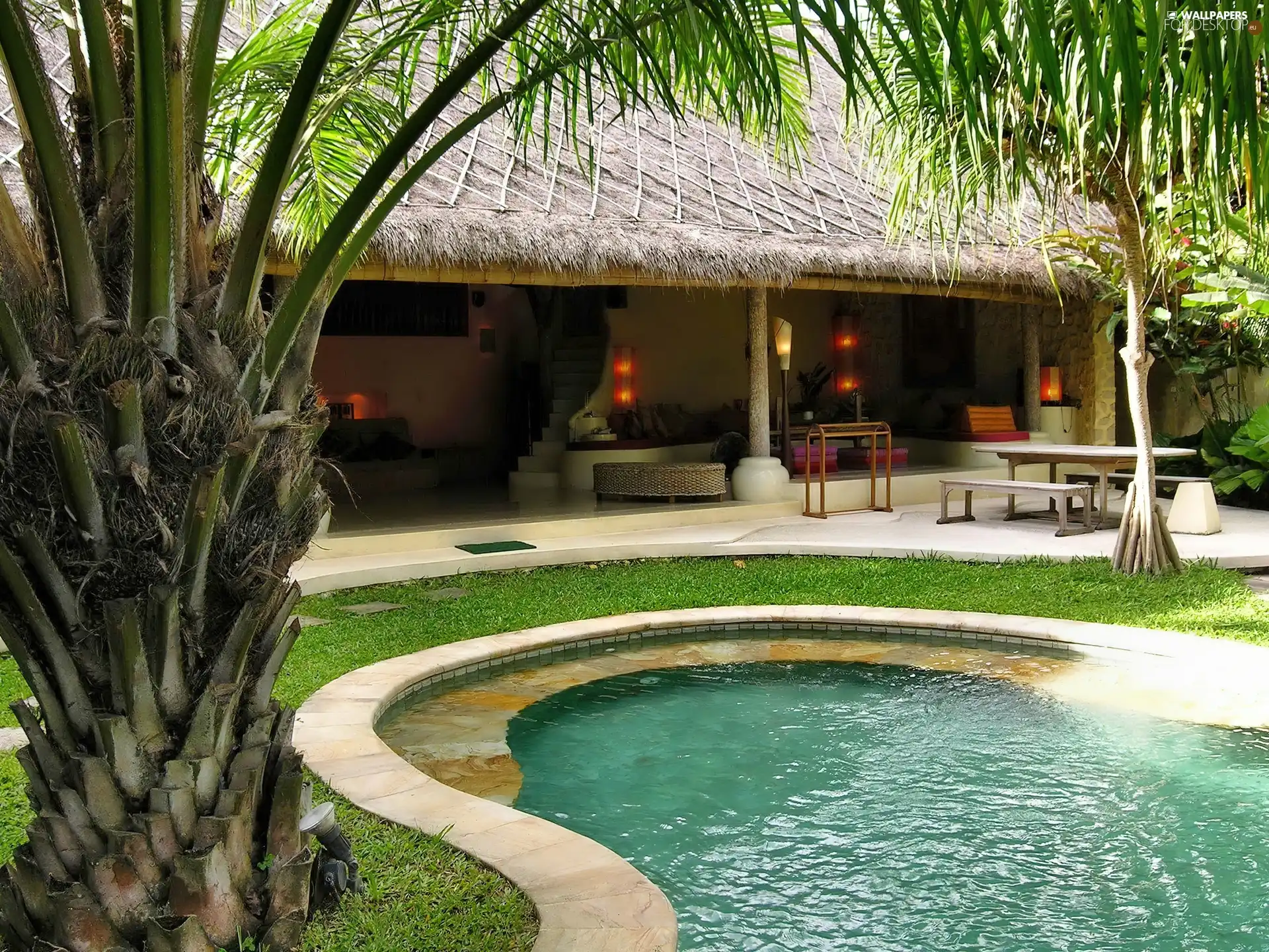Palm, villa, Pool