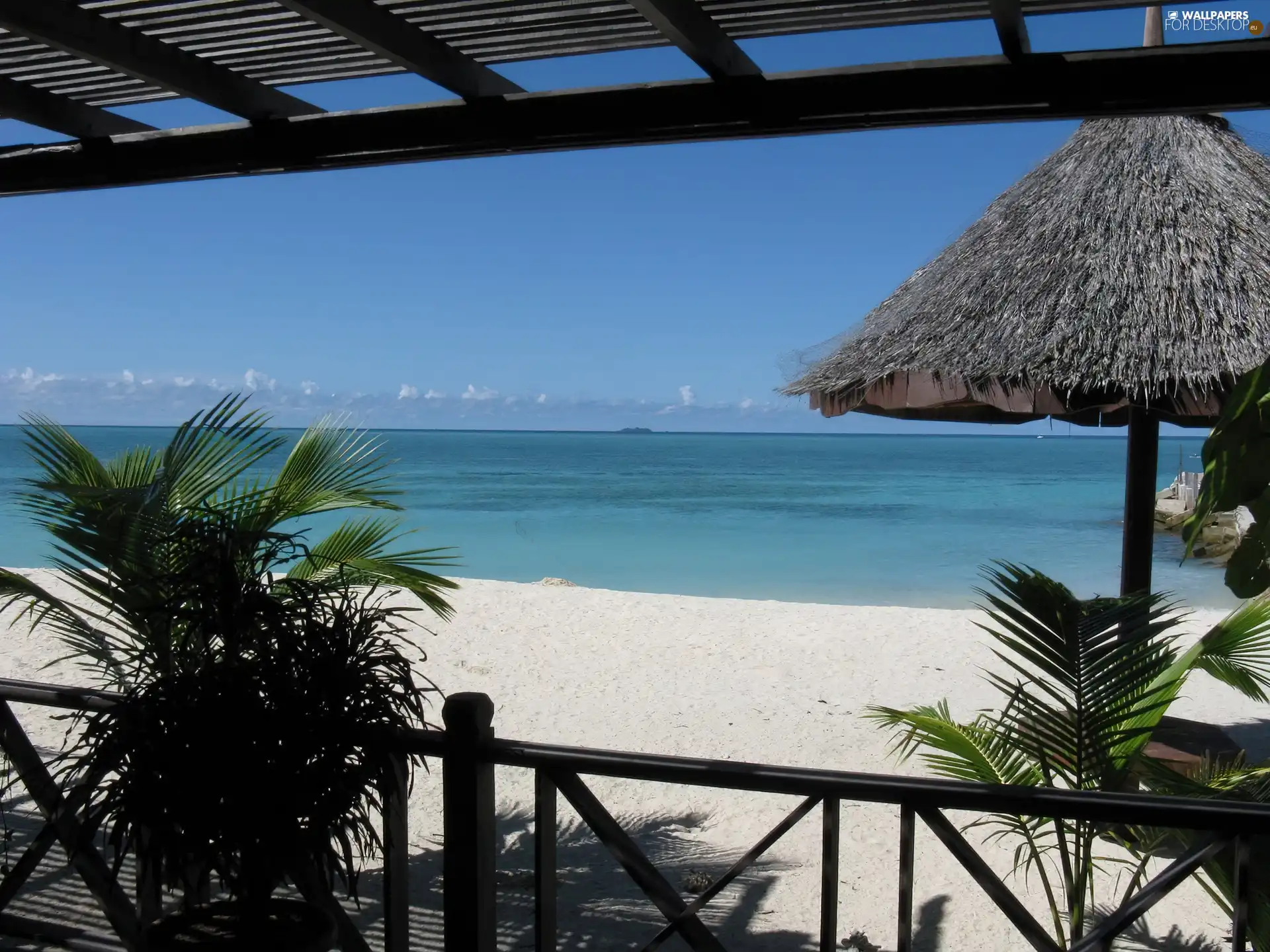 Beaches, terrace, Palms, Ocean