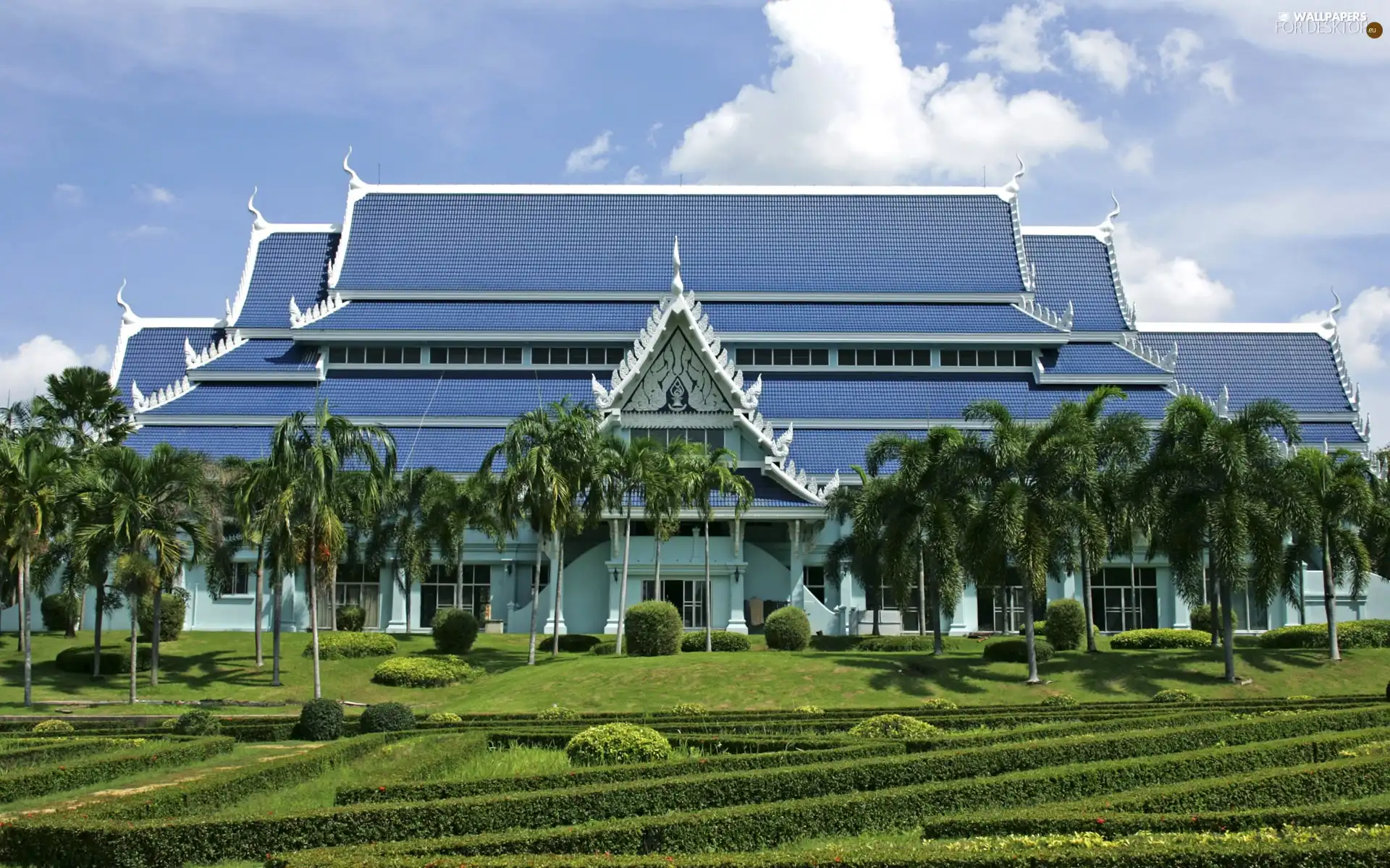 Palms, Mansion, Garden