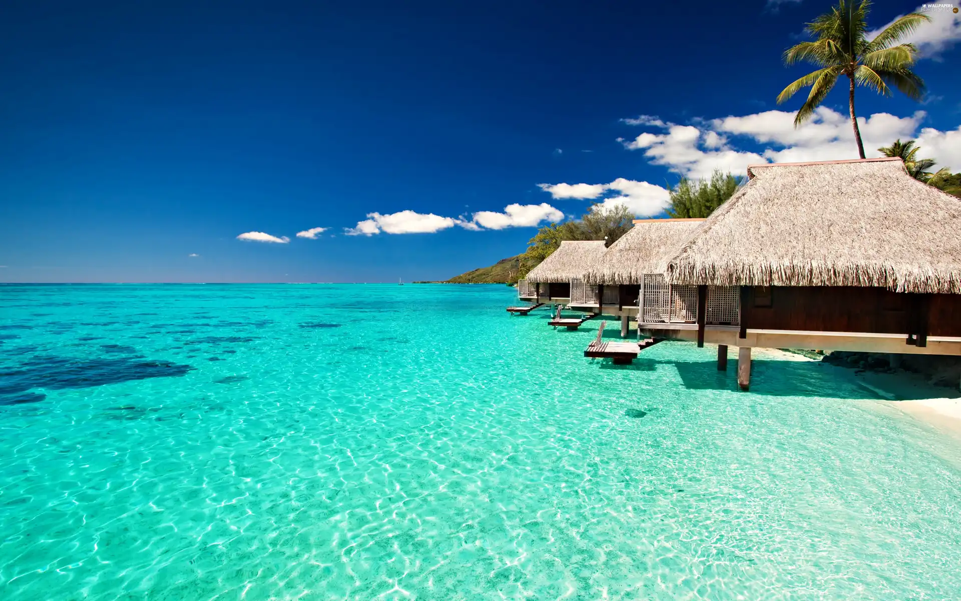 Houses, clouds, Palms, water