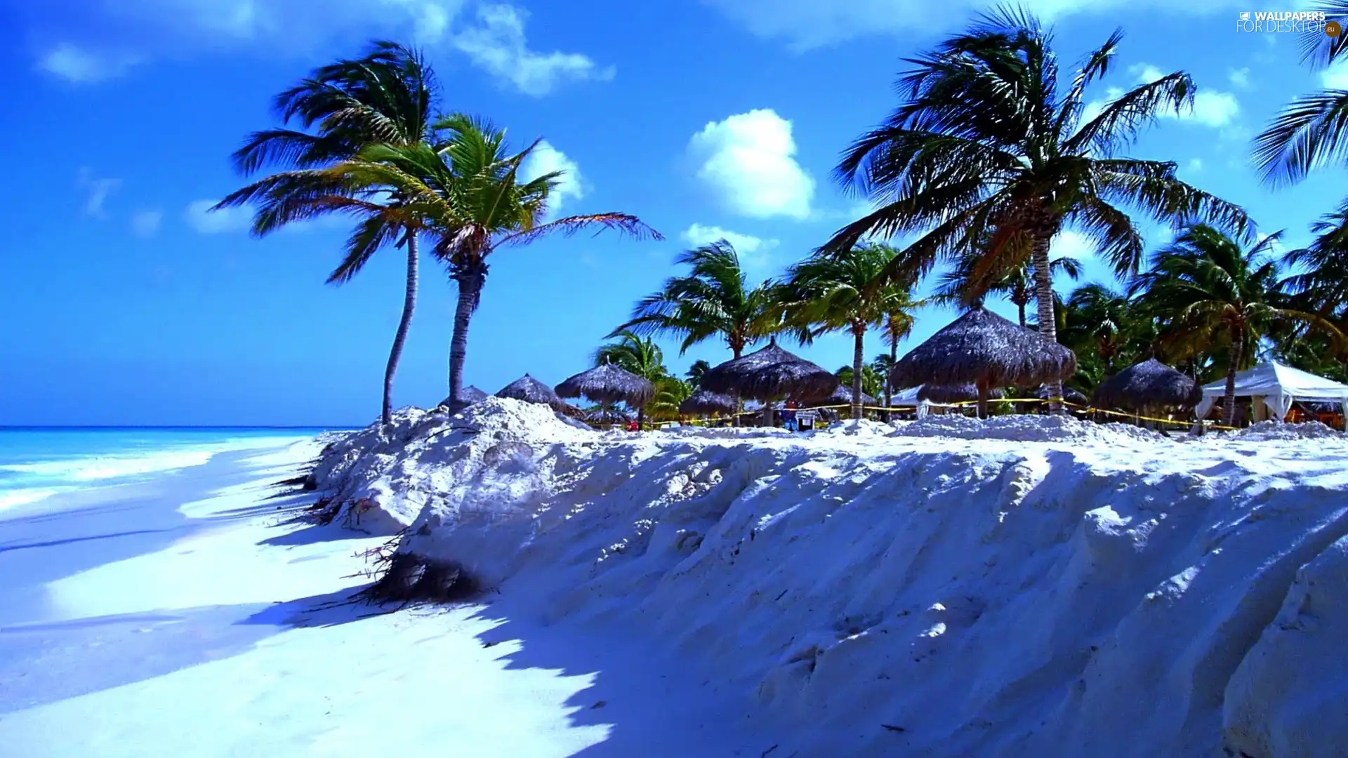 Island, Beaches, Palms, sea