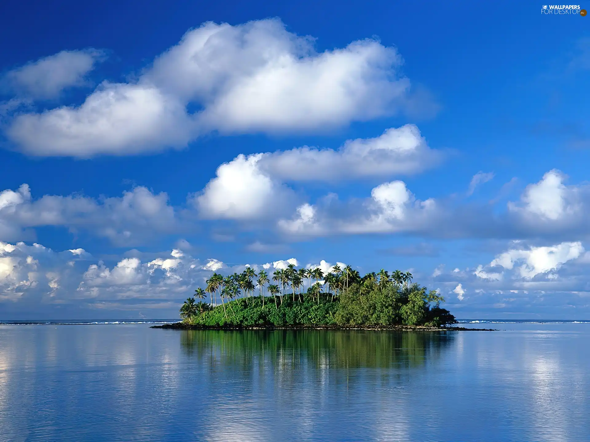 Island, Palms