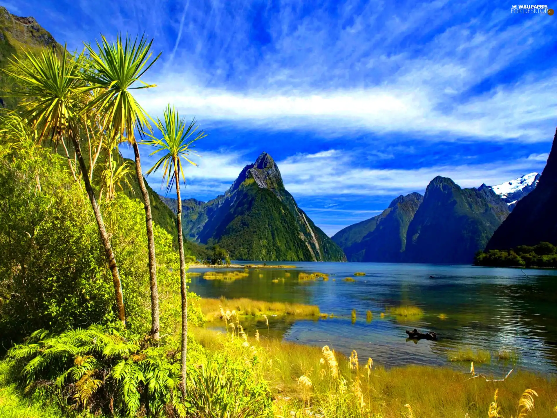 Palms, Mountains, lake